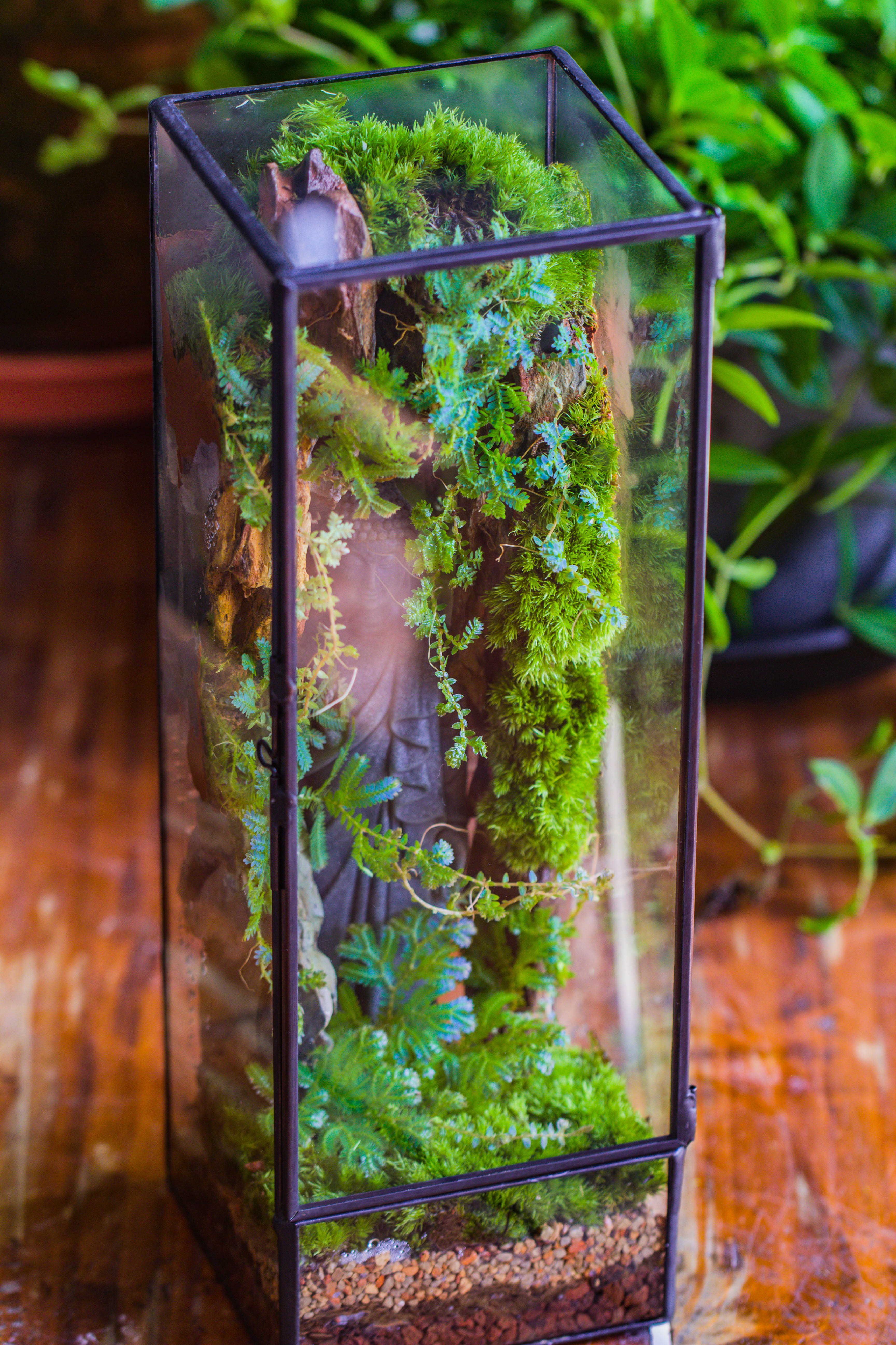 NCYP Close 11.8" Tall Geometric Glass Terrarium with Door DIY set, with Buddha, Dragon rocks, Planting Materials - NCYPgarden