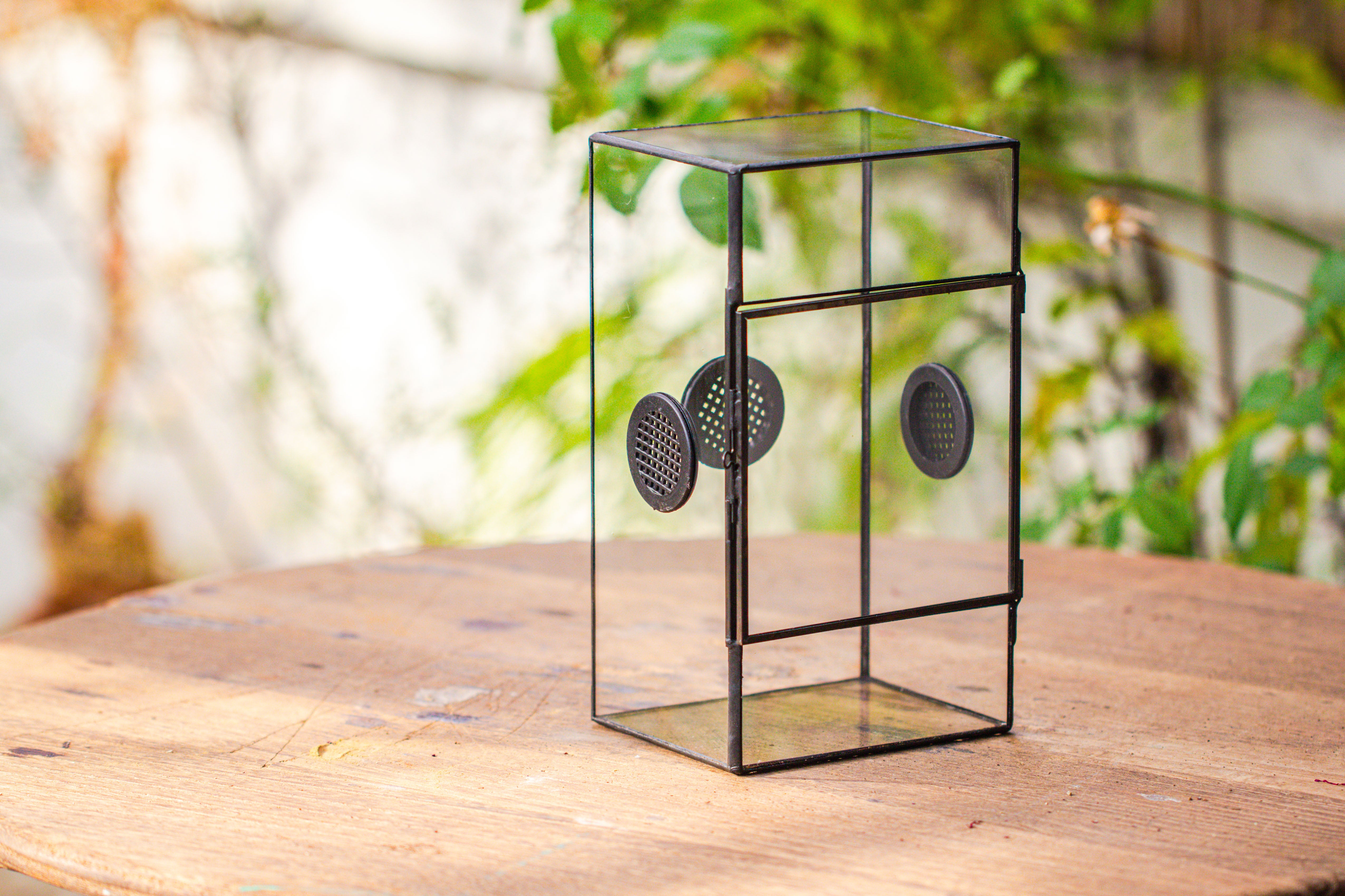 Glass Geometric Terrarium with Door Enclosure, Black Plastic Mesh Vent for Insects, Snail, Jumping Spider, Plants Not Included - NCYPgarden