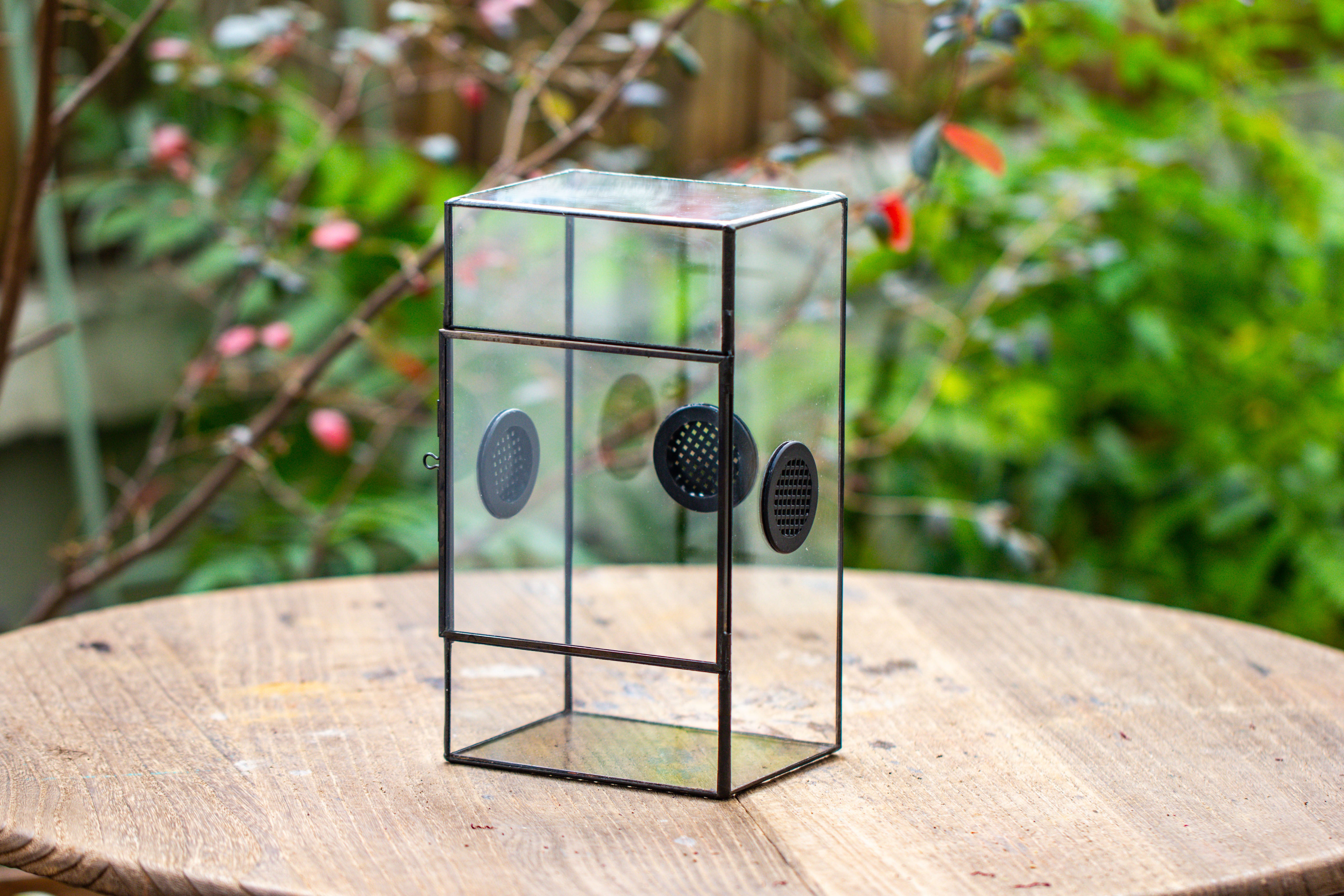 Glass Geometric Terrarium with Door Enclosure, Black Plastic Mesh Vent for Insects, Snail, Jumping Spider, Plants Not Included - NCYPgarden
