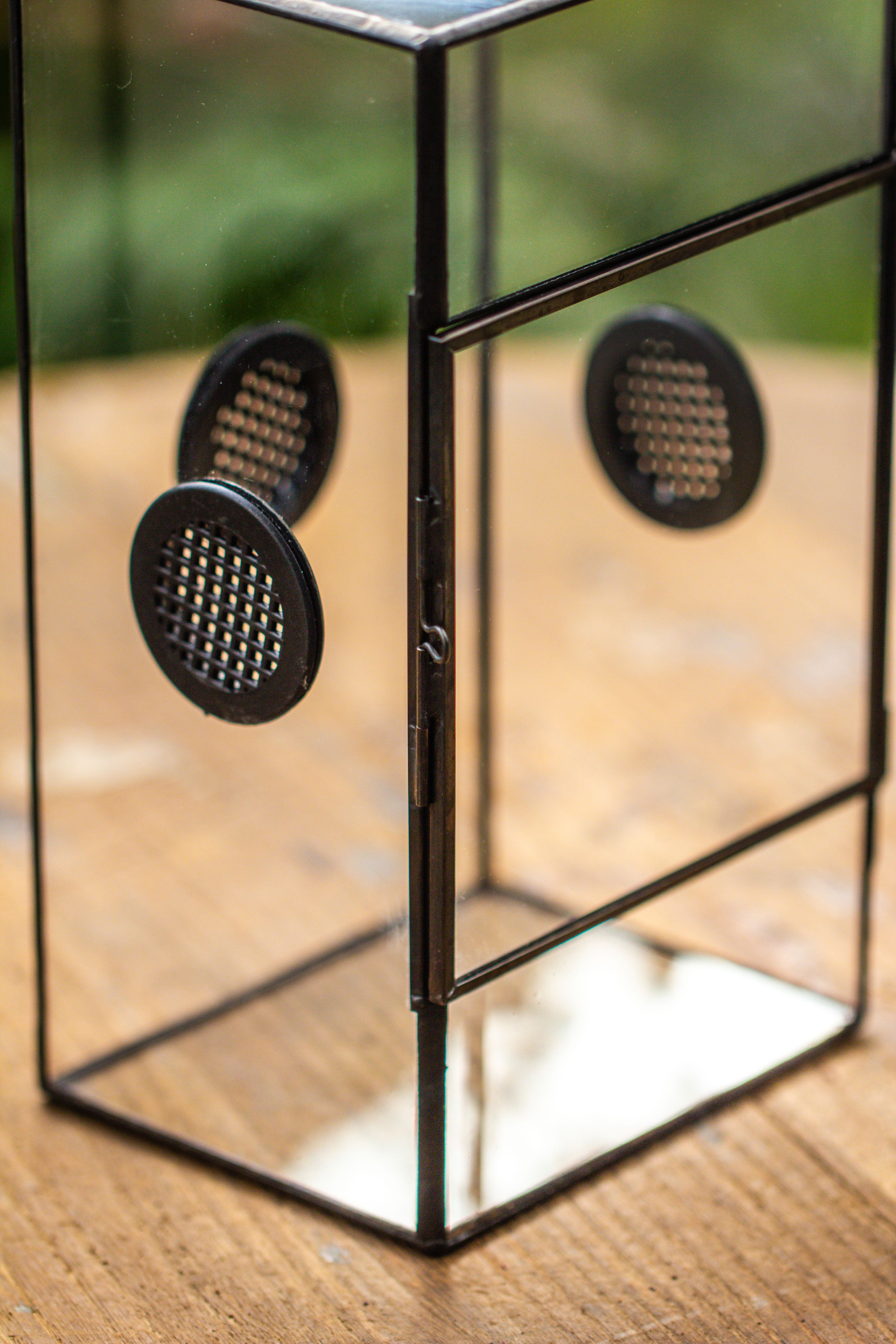 Glass Geometric Terrarium with Door Enclosure, Black Plastic Mesh Vent for Insects, Snail, Jumping Spider, Plants Not Included - NCYPgarden