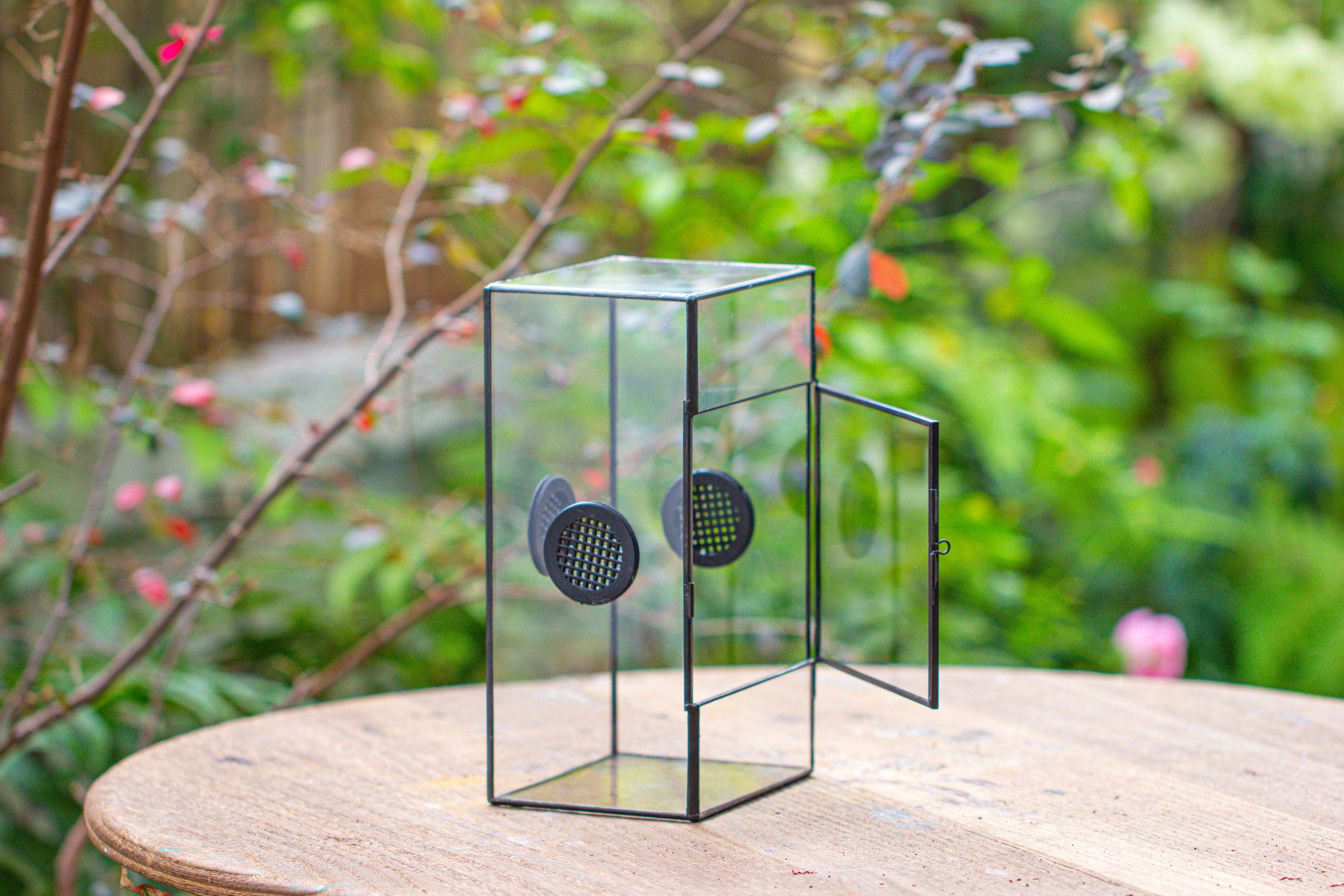 Glass Geometric Terrarium with Door Enclosure, Black Plastic Mesh Vent for Insects, Snail, Jumping Spider, Plants Not Included - NCYPgarden