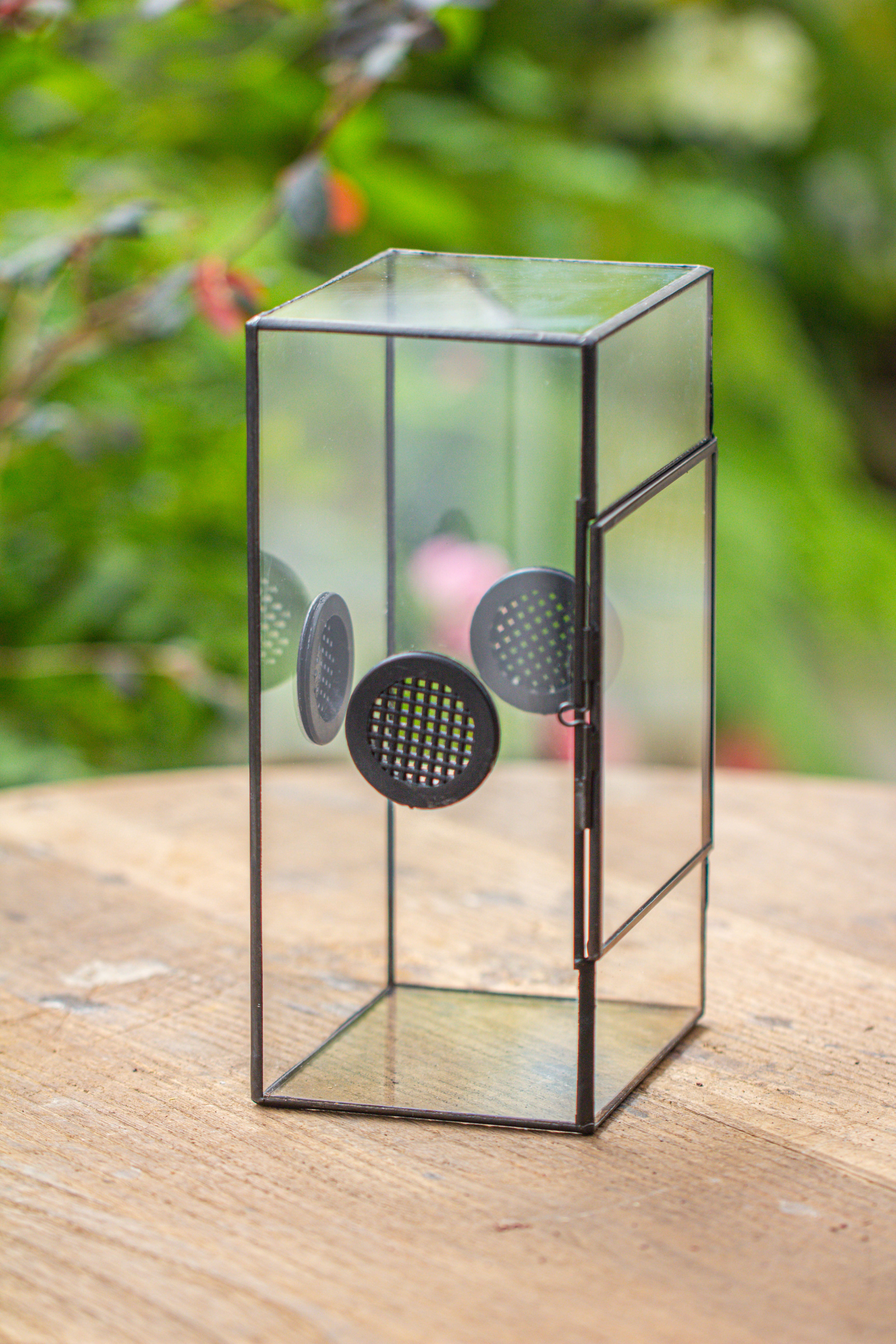 Glass Geometric Terrarium with Door Enclosure, Black Plastic Mesh Vent for Insects, Snail, Jumping Spider, Plants Not Included - NCYPgarden