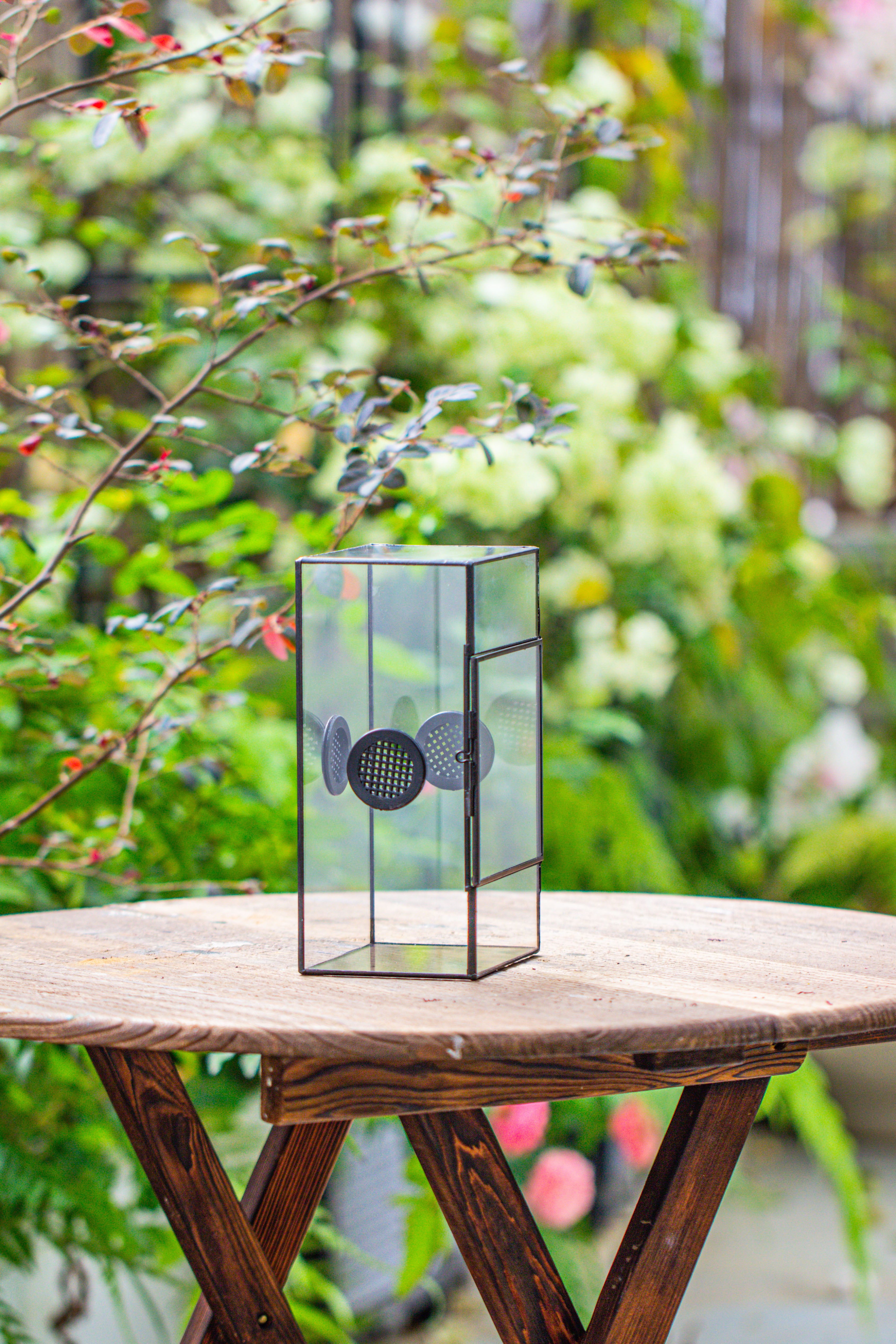 Glass Geometric Terrarium with Door Enclosure, Black Plastic Mesh Vent for Insects, Snail, Jumping Spider, Plants Not Included - NCYPgarden