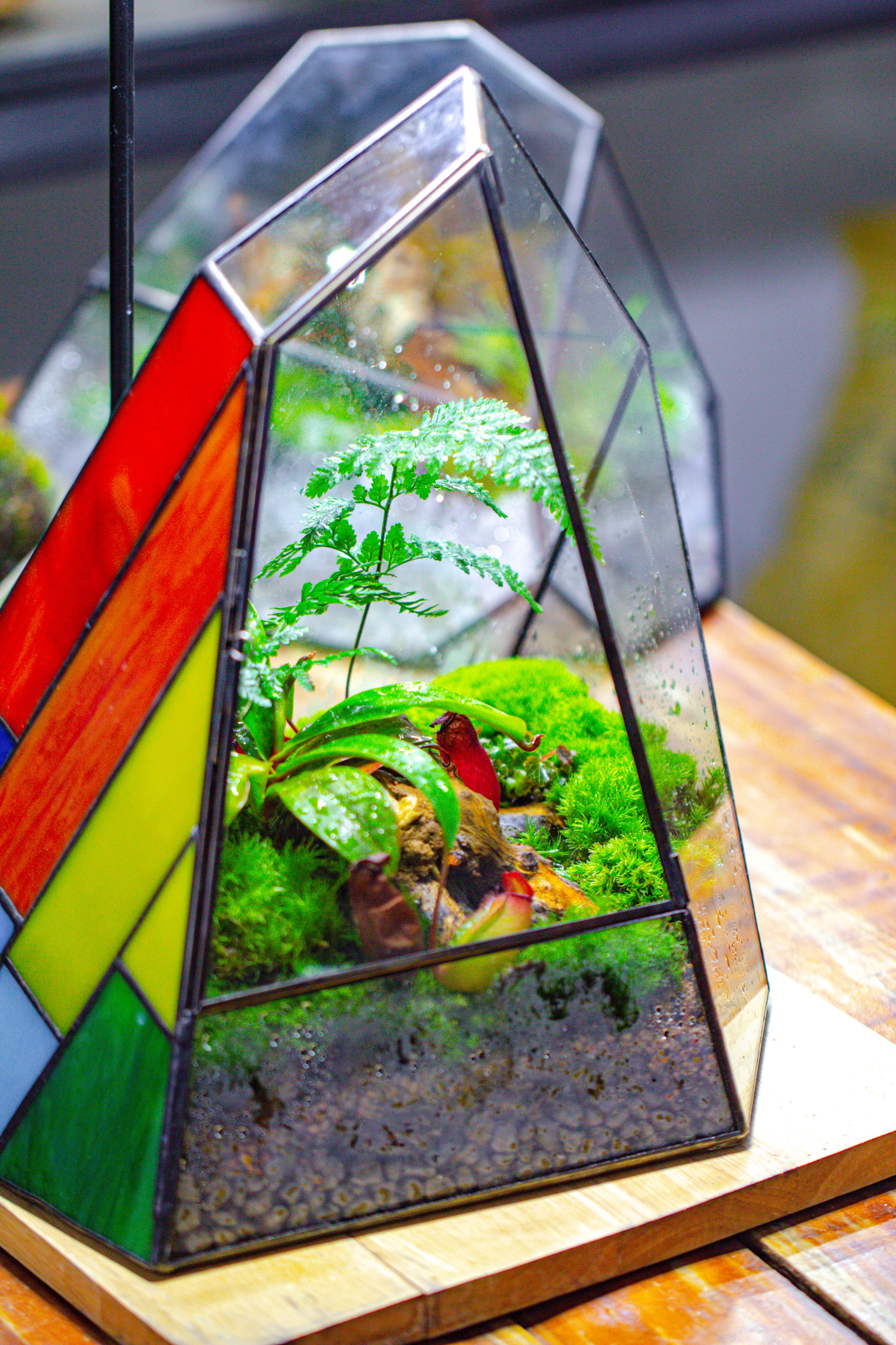 Rainbow Stained Glass Irregular Geometric Ice Peak  Shape Terrarium, Close - NCYPgarden