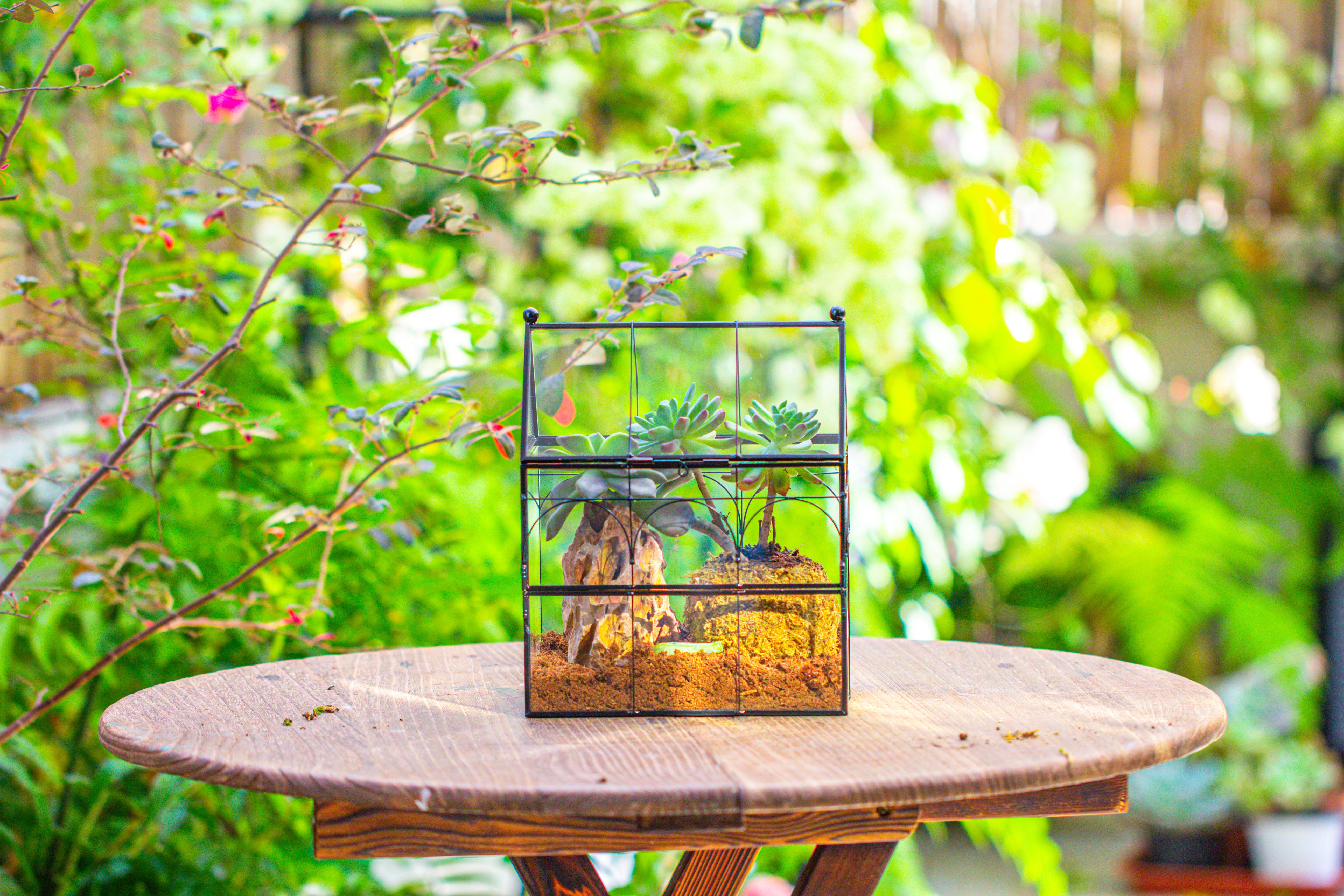 NCYP Vintage House Shape Glass Geometric Terrarium, with side door, with Mesh / vent holes for small Insects Pet - NCYPgarden