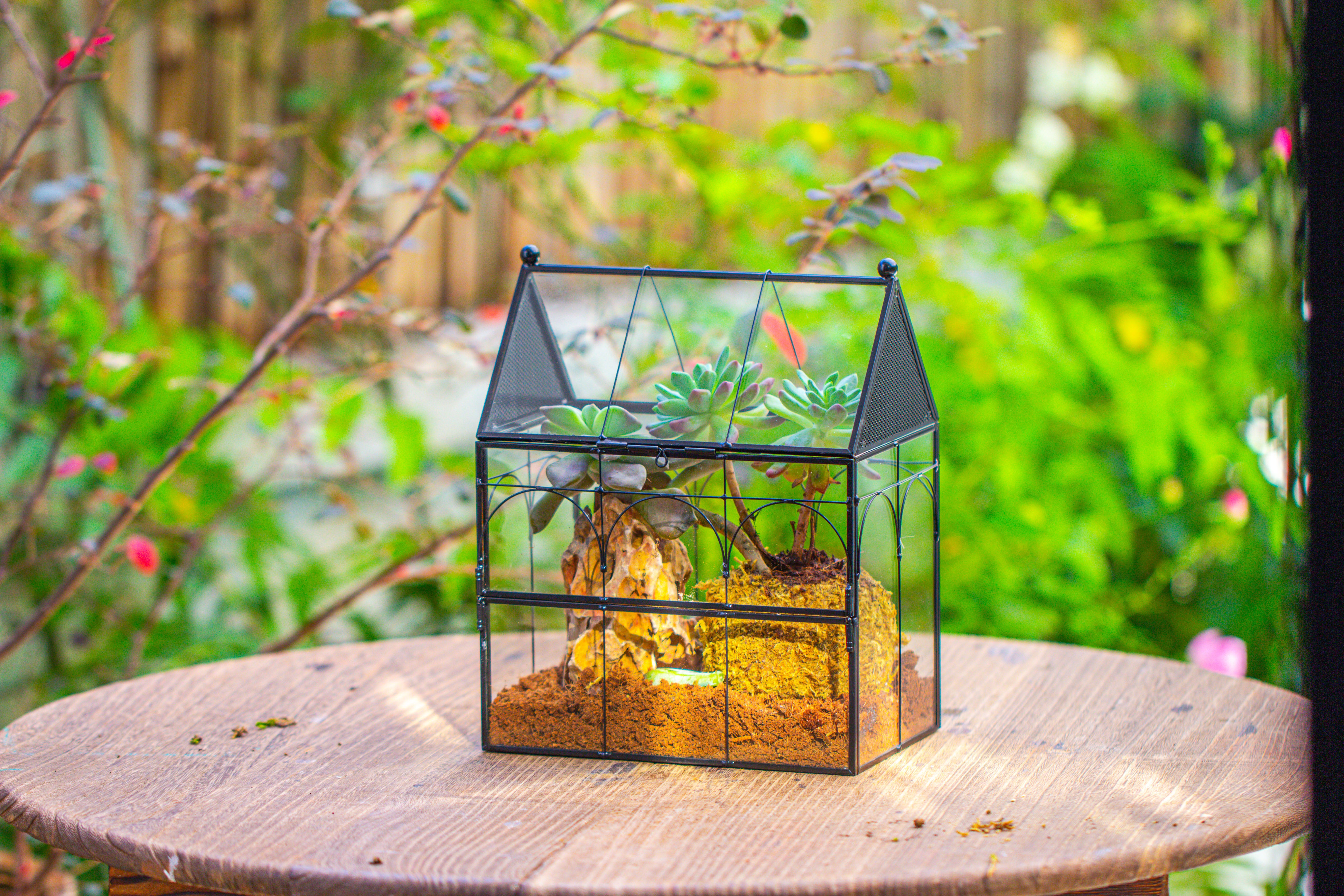 NCYP Vintage House Shape Glass Geometric Terrarium, with side door, with Mesh / vent holes for small Insects Pet - NCYPgarden