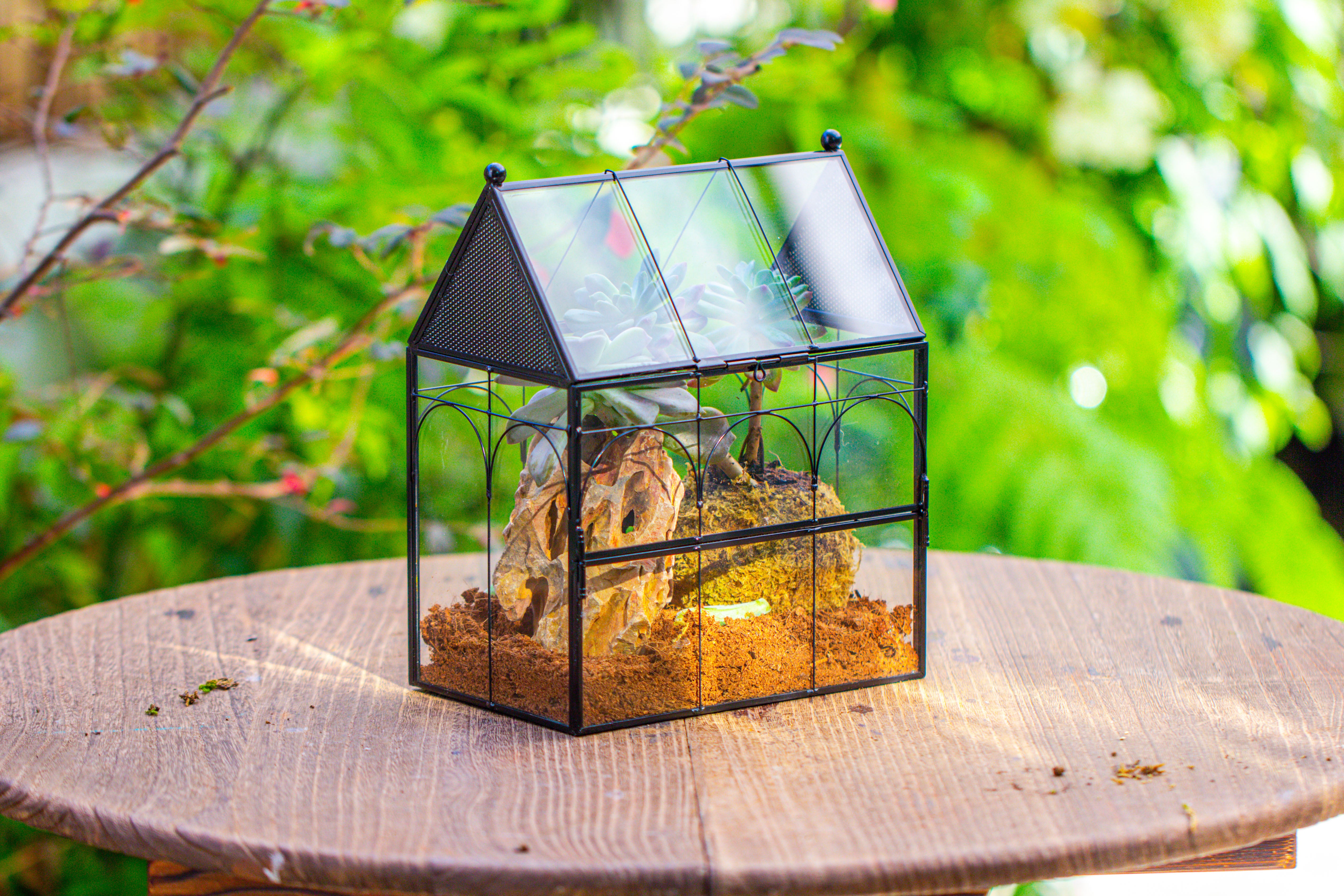 NCYP Vintage House Shape Glass Geometric Terrarium, with side door, with Mesh / vent holes for small Insects Pet - NCYPgarden