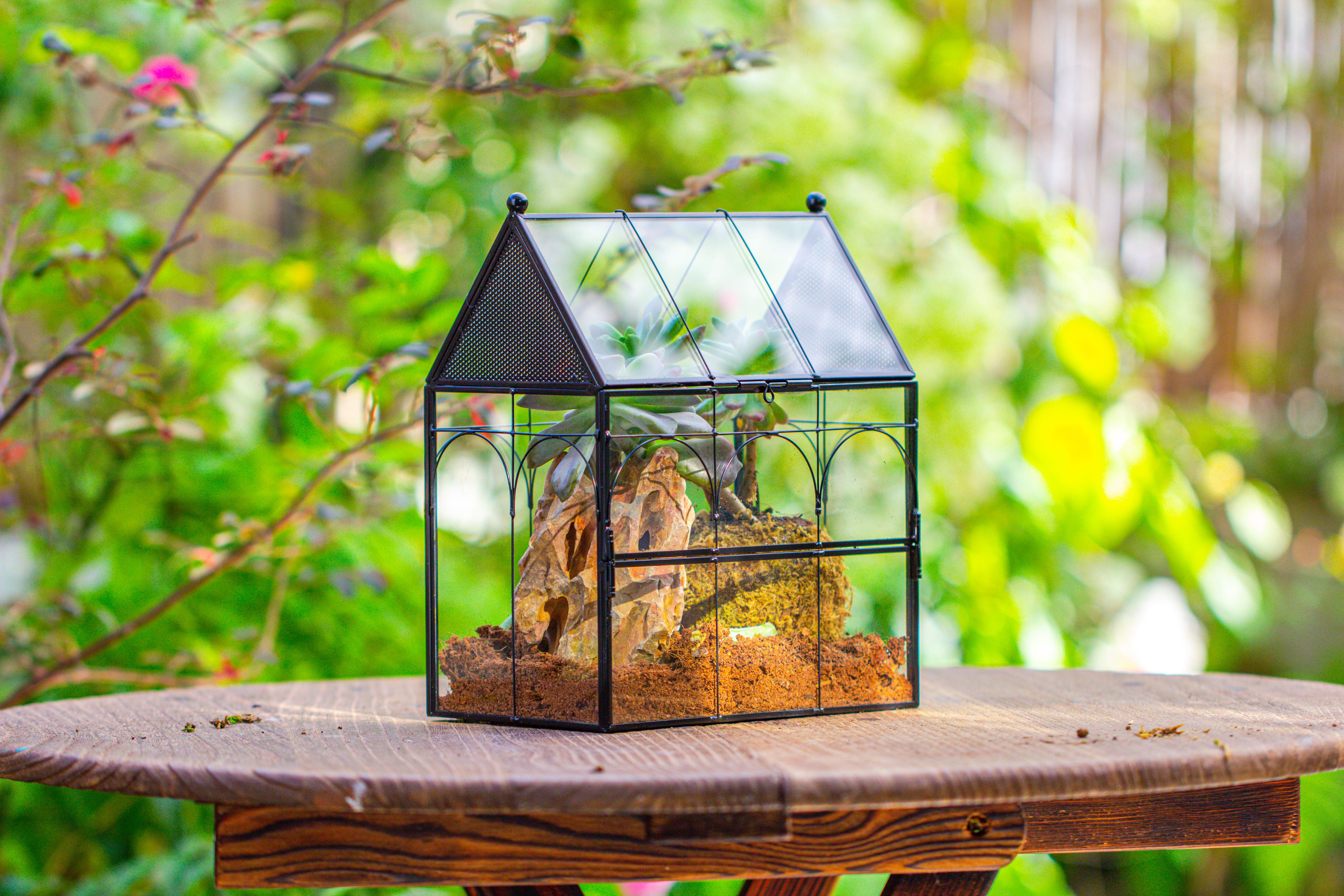 NCYP Vintage House Shape Glass Geometric Terrarium, with side door, with Mesh / vent holes for small Insects Pet - NCYPgarden