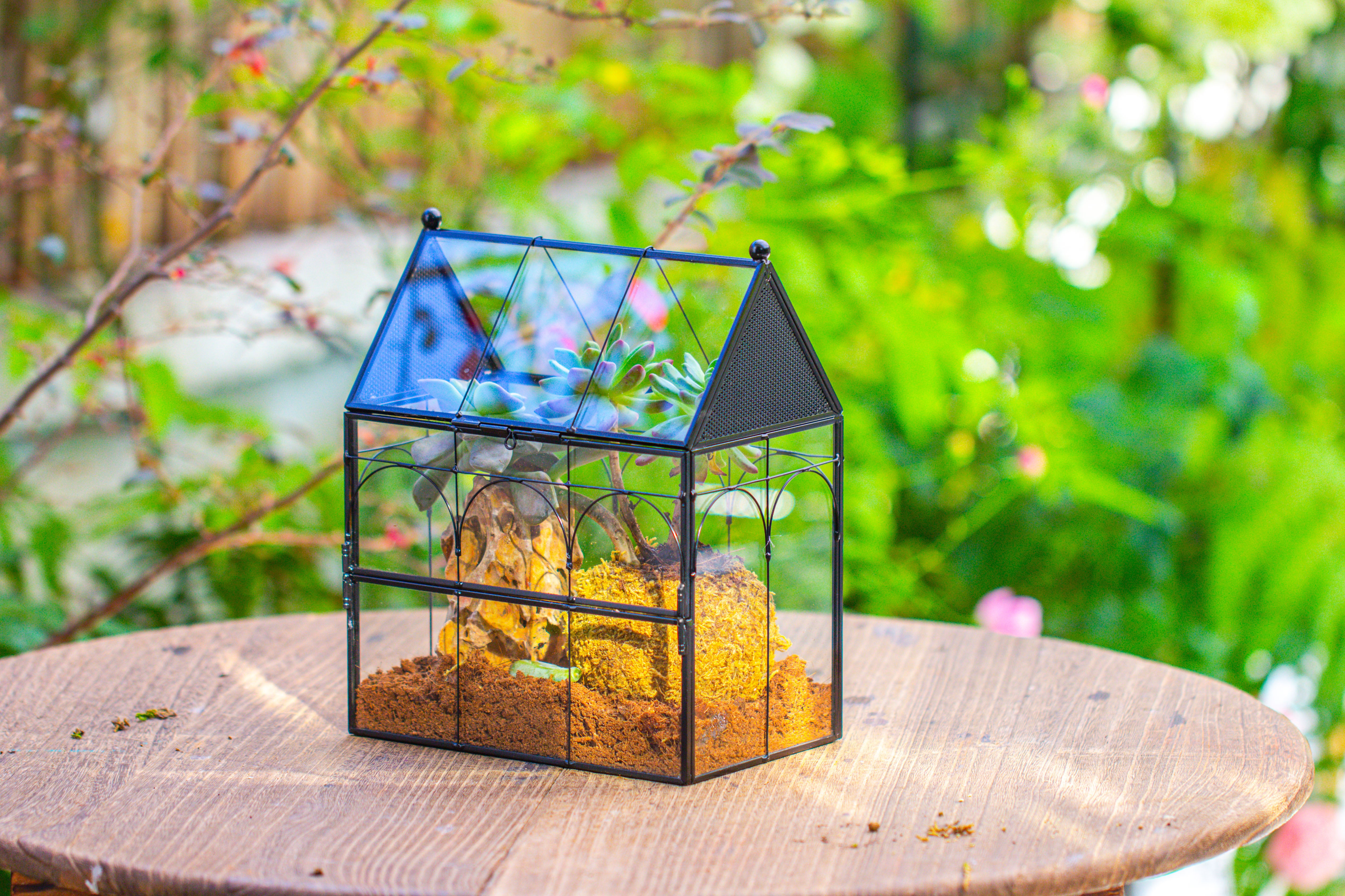 NCYP Vintage House Shape Glass Geometric Terrarium, with side door, with Mesh / vent holes for small Insects Pet - NCYPgarden