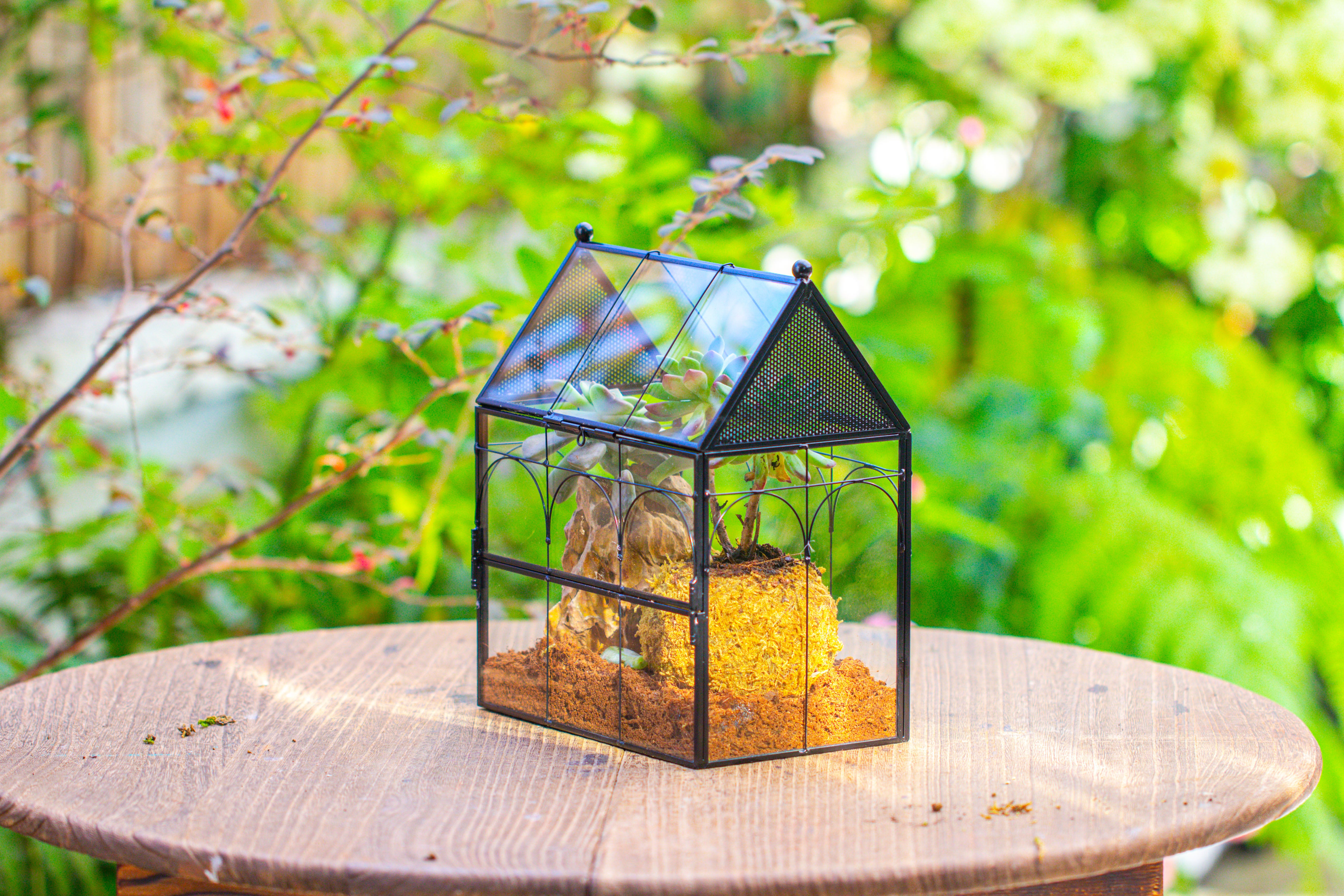 NCYP Vintage House Shape Glass Geometric Terrarium, with side door, with Mesh / vent holes for small Insects Pet - NCYPgarden