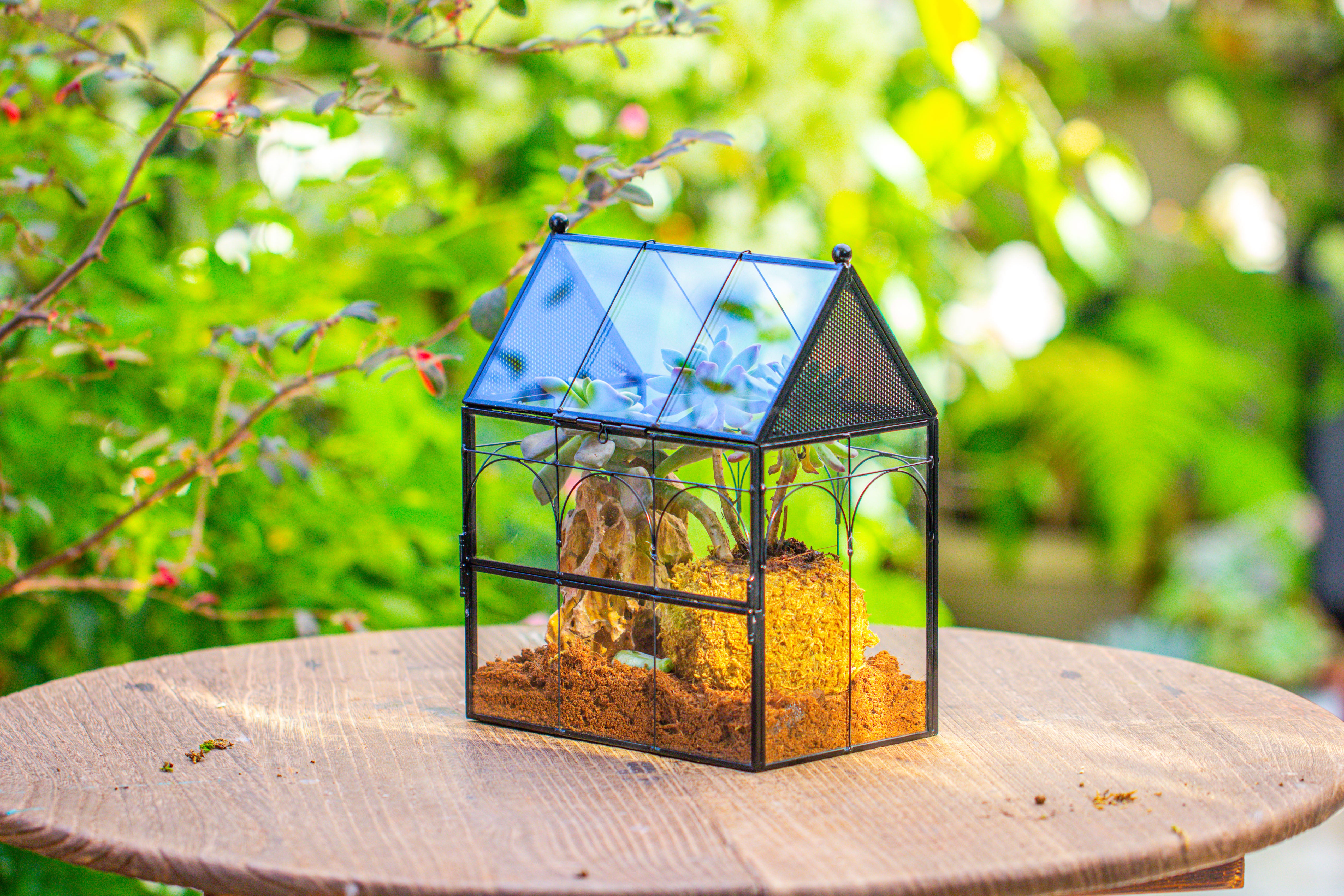 NCYP Vintage House Shape Glass Geometric Terrarium, with side door, with Mesh / vent holes for small Insects Pet - NCYPgarden