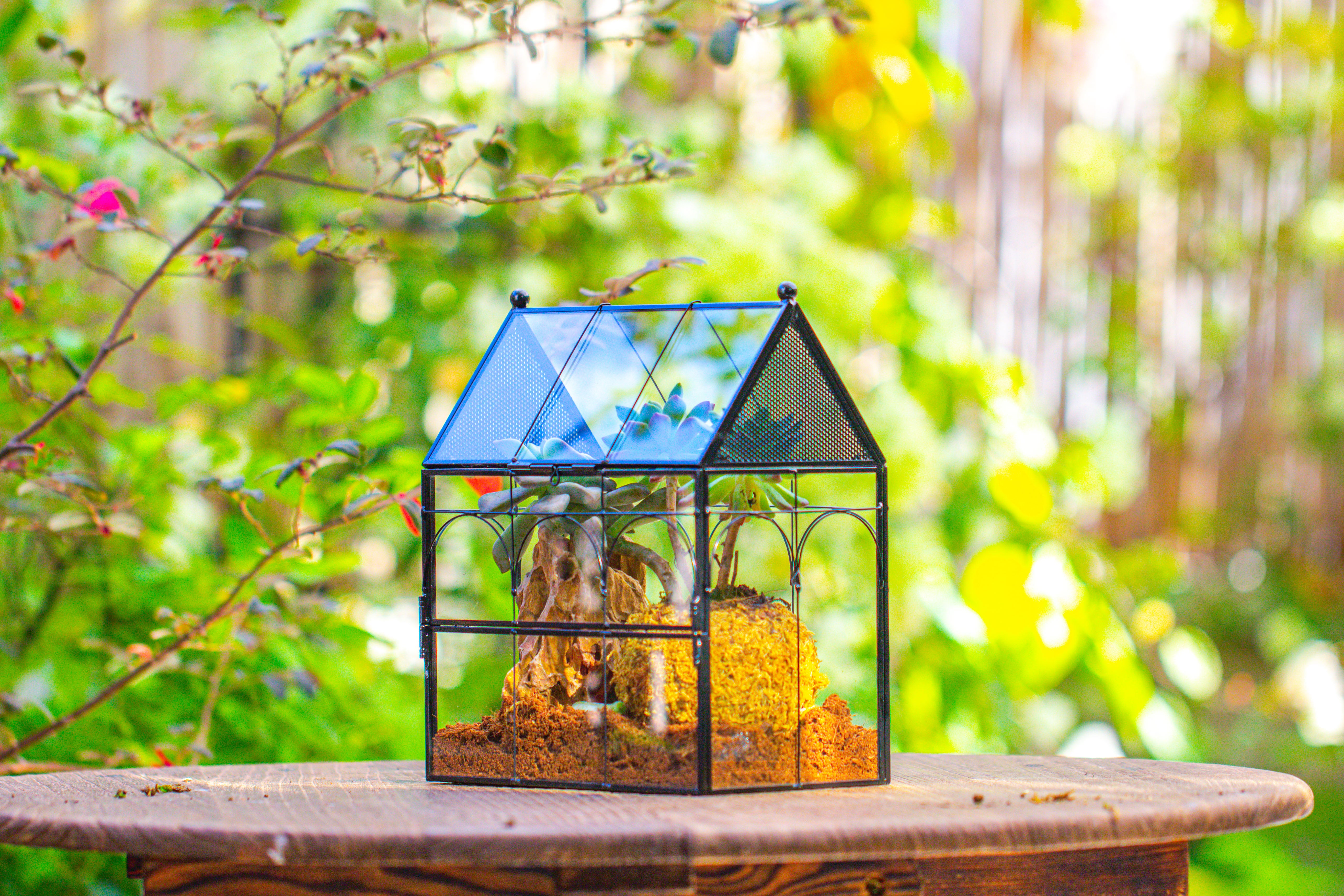 NCYP Vintage House Shape Glass Geometric Terrarium, with side door, with Mesh / vent holes for small Insects Pet - NCYPgarden