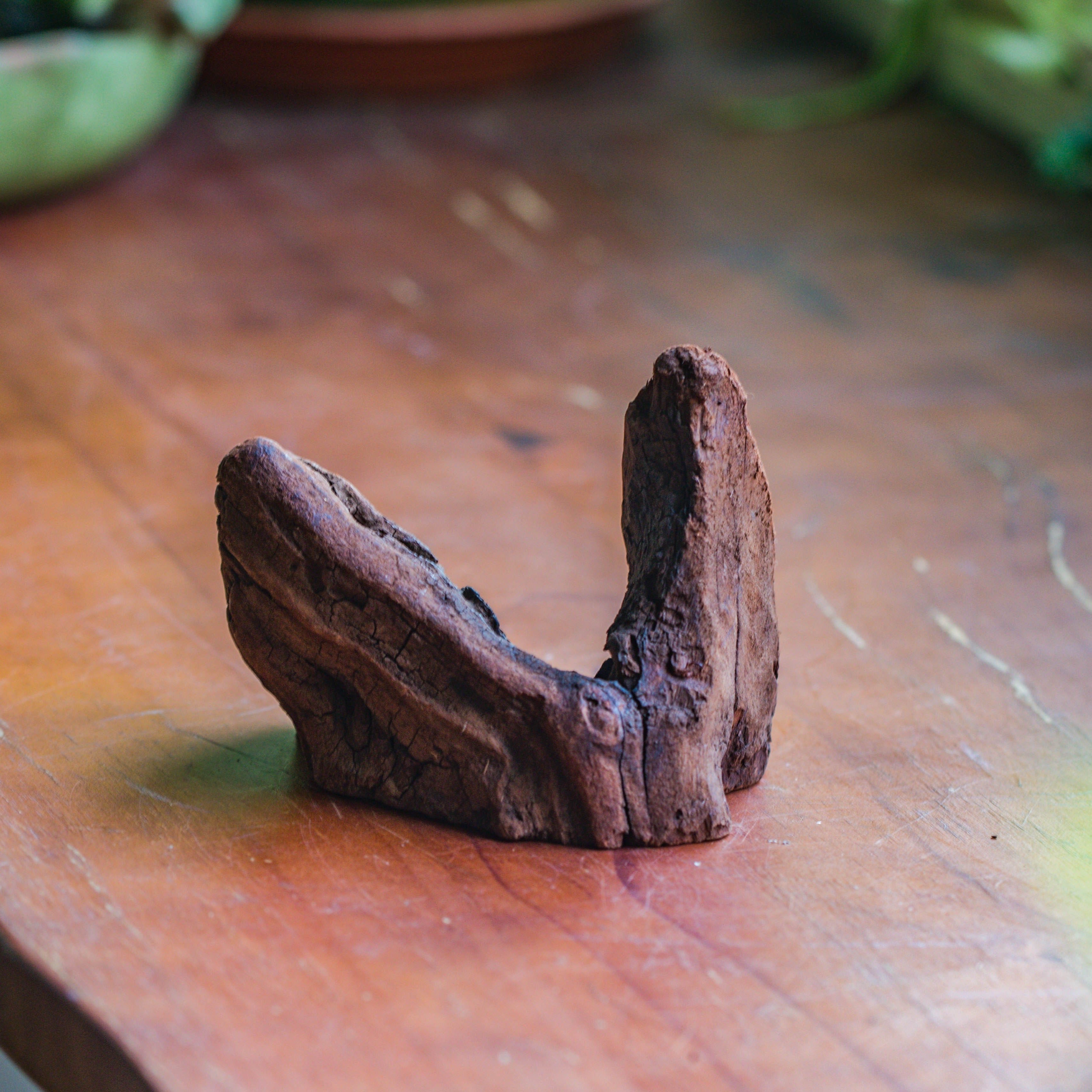 Natural driftwood for moss terrarium, miniature, micro landscape, unique  10-2, suitable for both live and preserved moss - NCYPgarden