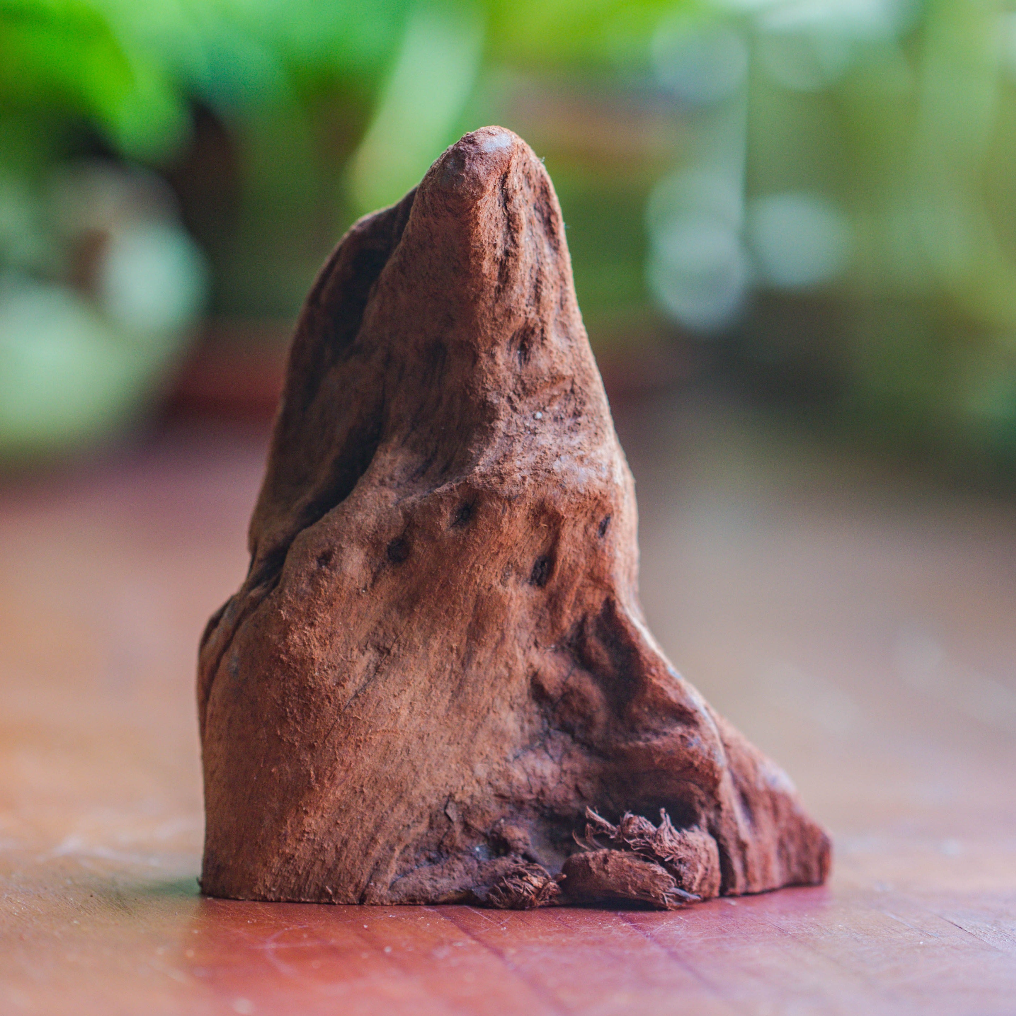 Natural driftwood for moss terrarium, miniature, micro landscape, unique  10-27, suitable for both live and preserved moss - NCYPgarden