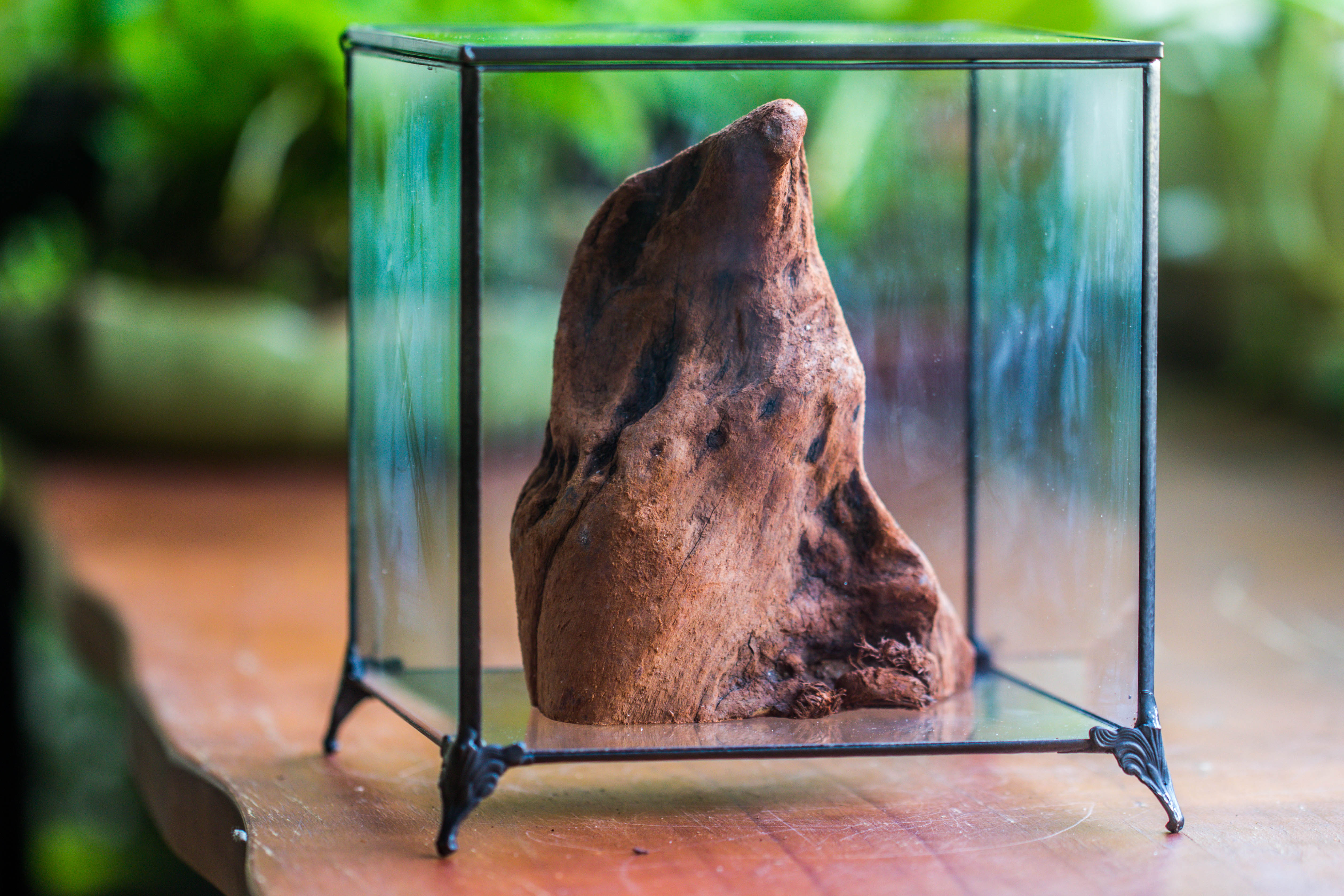 Natural driftwood for moss terrarium, miniature, micro landscape, unique  10-27, suitable for both live and preserved moss - NCYPgarden