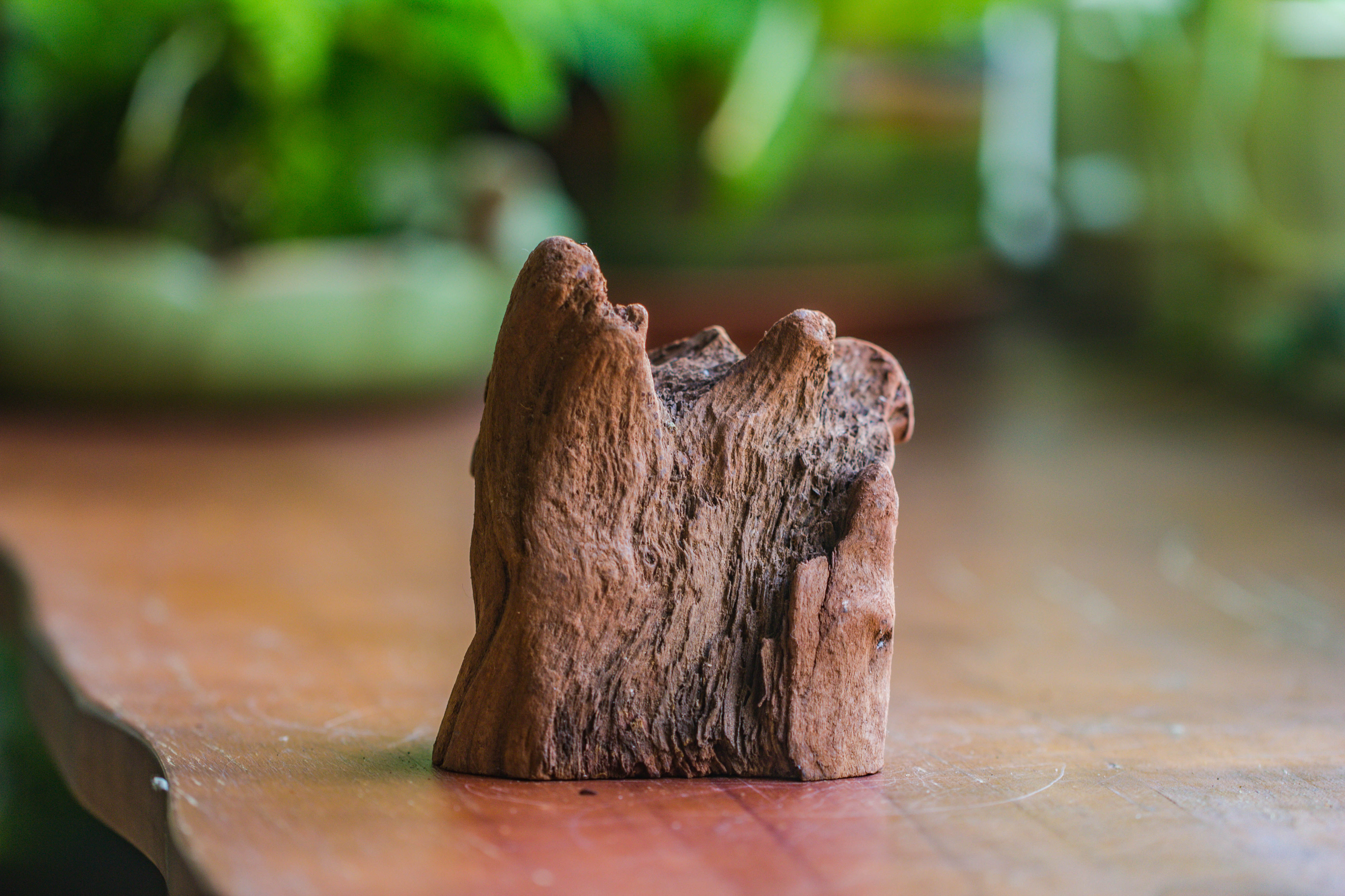 Natural driftwood for moss terrarium, miniature, micro landscape, unique  10-26, suitable for both live and preserved moss - NCYPgarden