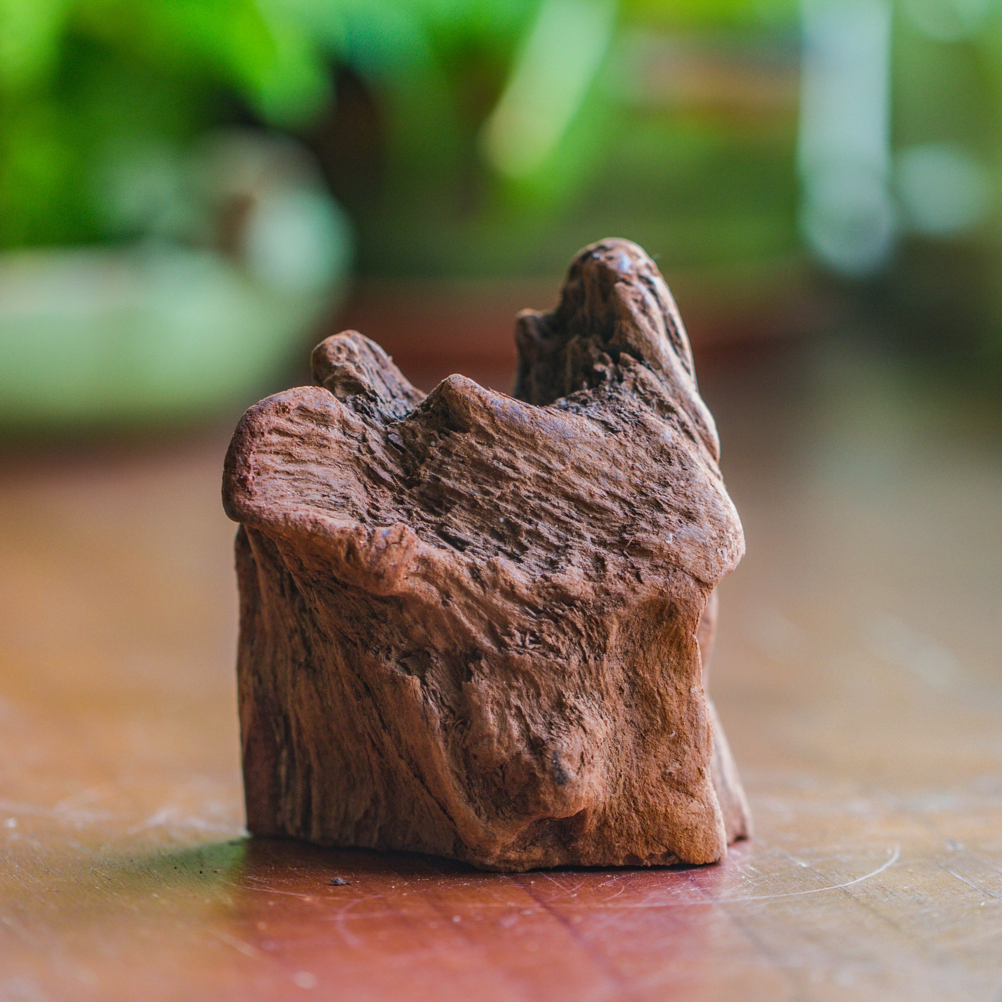 Natural driftwood for moss terrarium, miniature, micro landscape, unique  10-26, suitable for both live and preserved moss - NCYPgarden