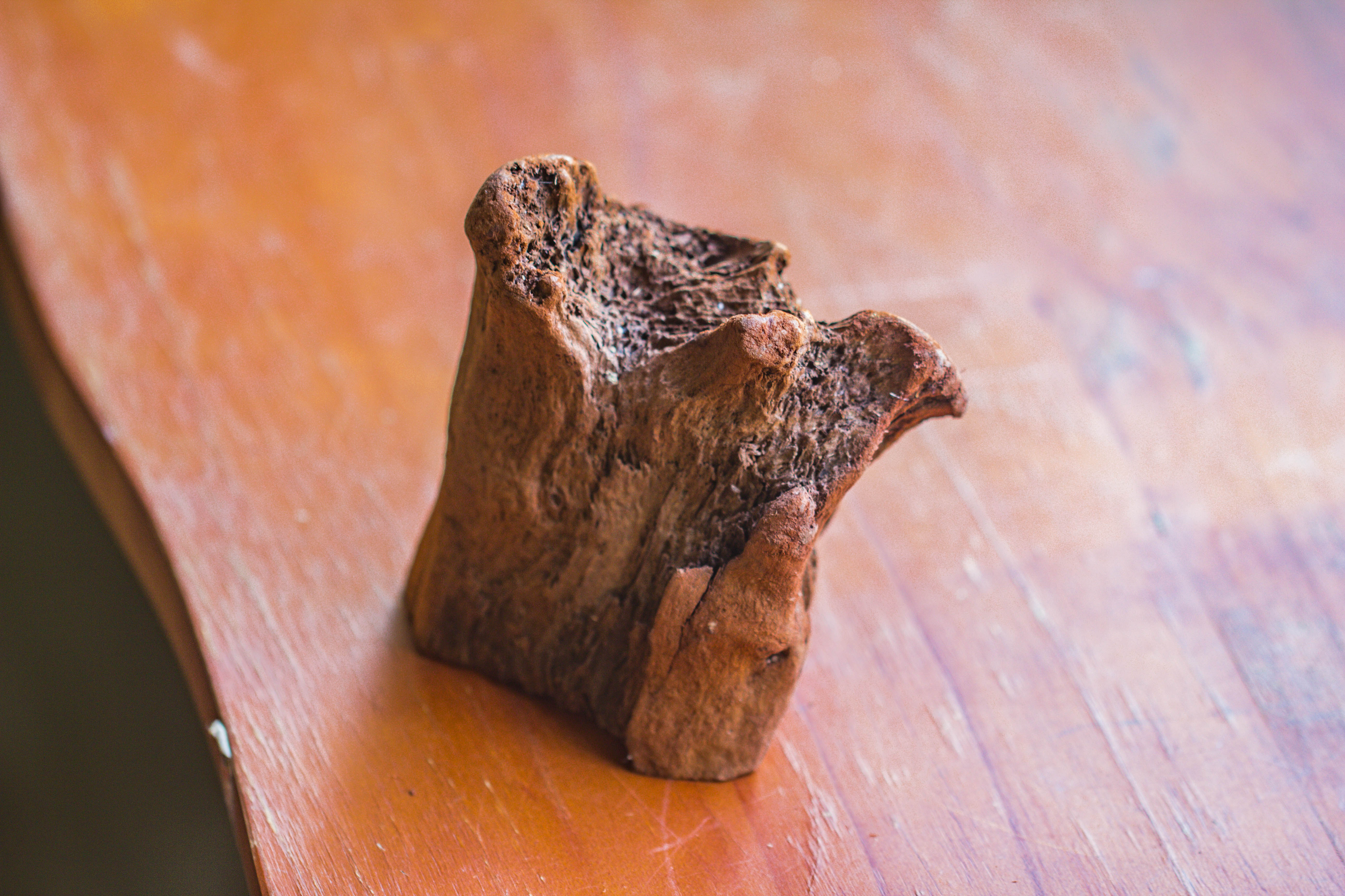 Natural driftwood for moss terrarium, miniature, micro landscape, unique  10-26, suitable for both live and preserved moss - NCYPgarden