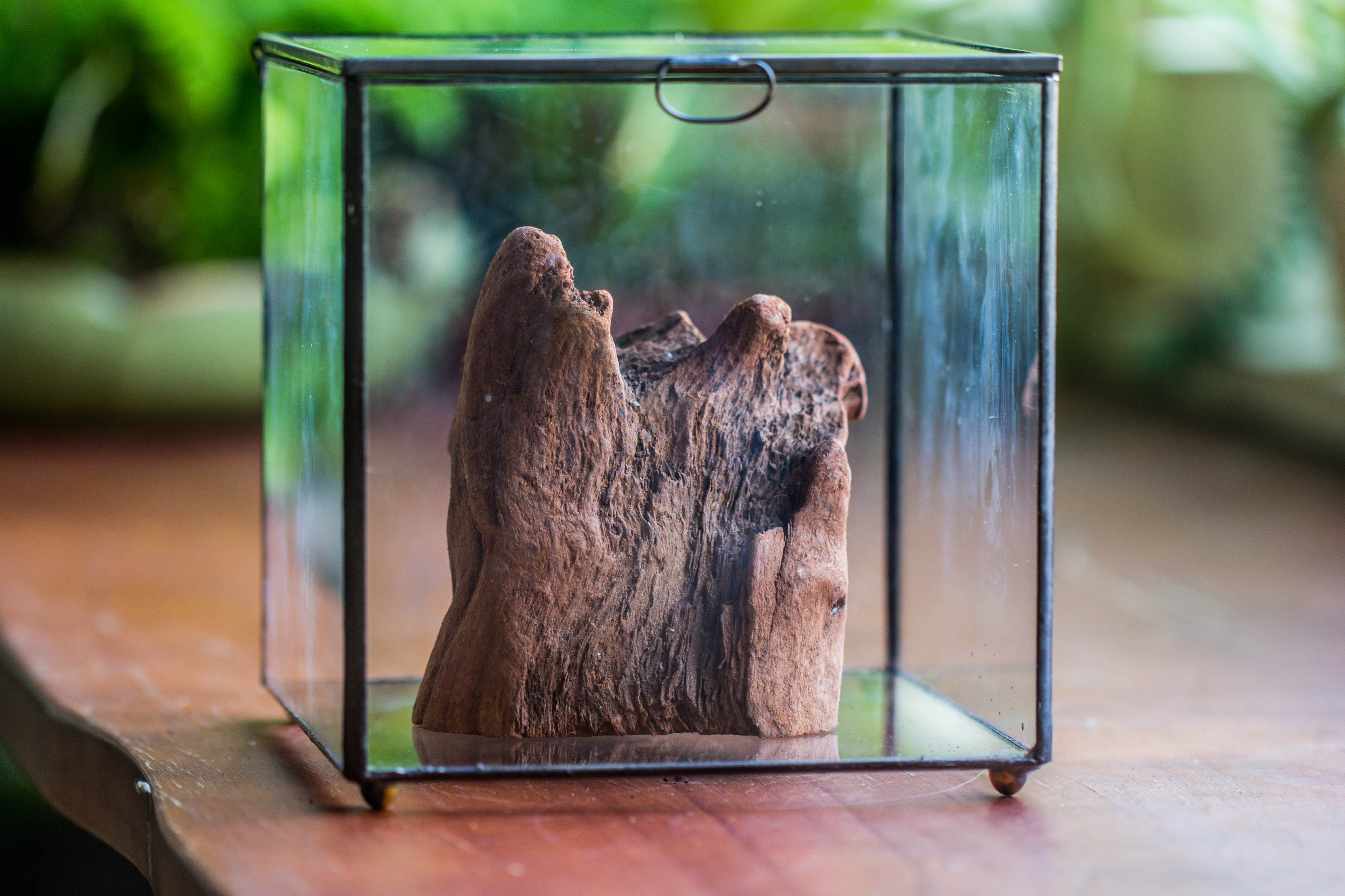 Natural driftwood for moss terrarium, miniature, micro landscape, unique  10-26, suitable for both live and preserved moss - NCYPgarden