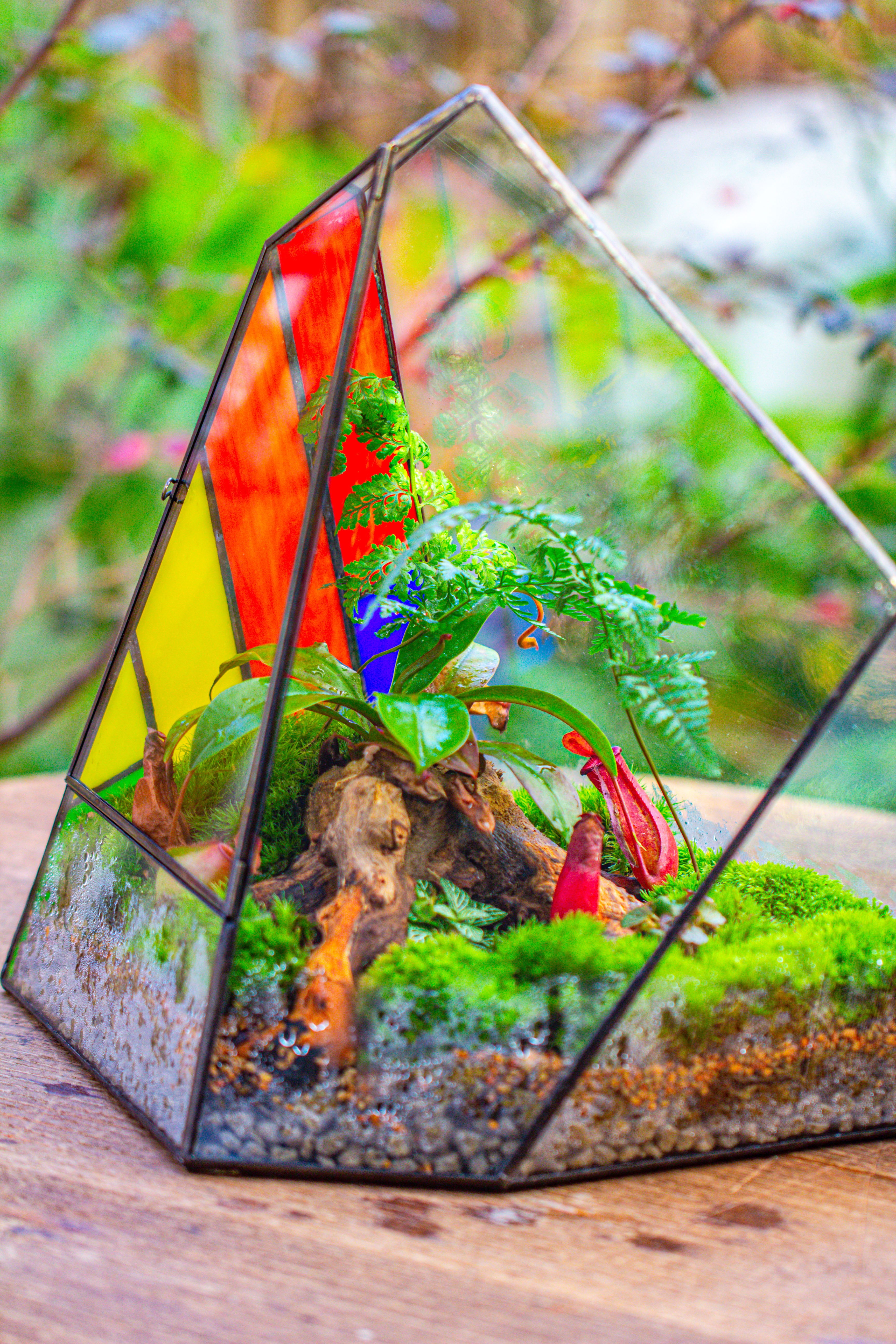 Rainbow Stained Glass Irregular Geometric Ice Peak  Shape Terrarium, Close - NCYPgarden