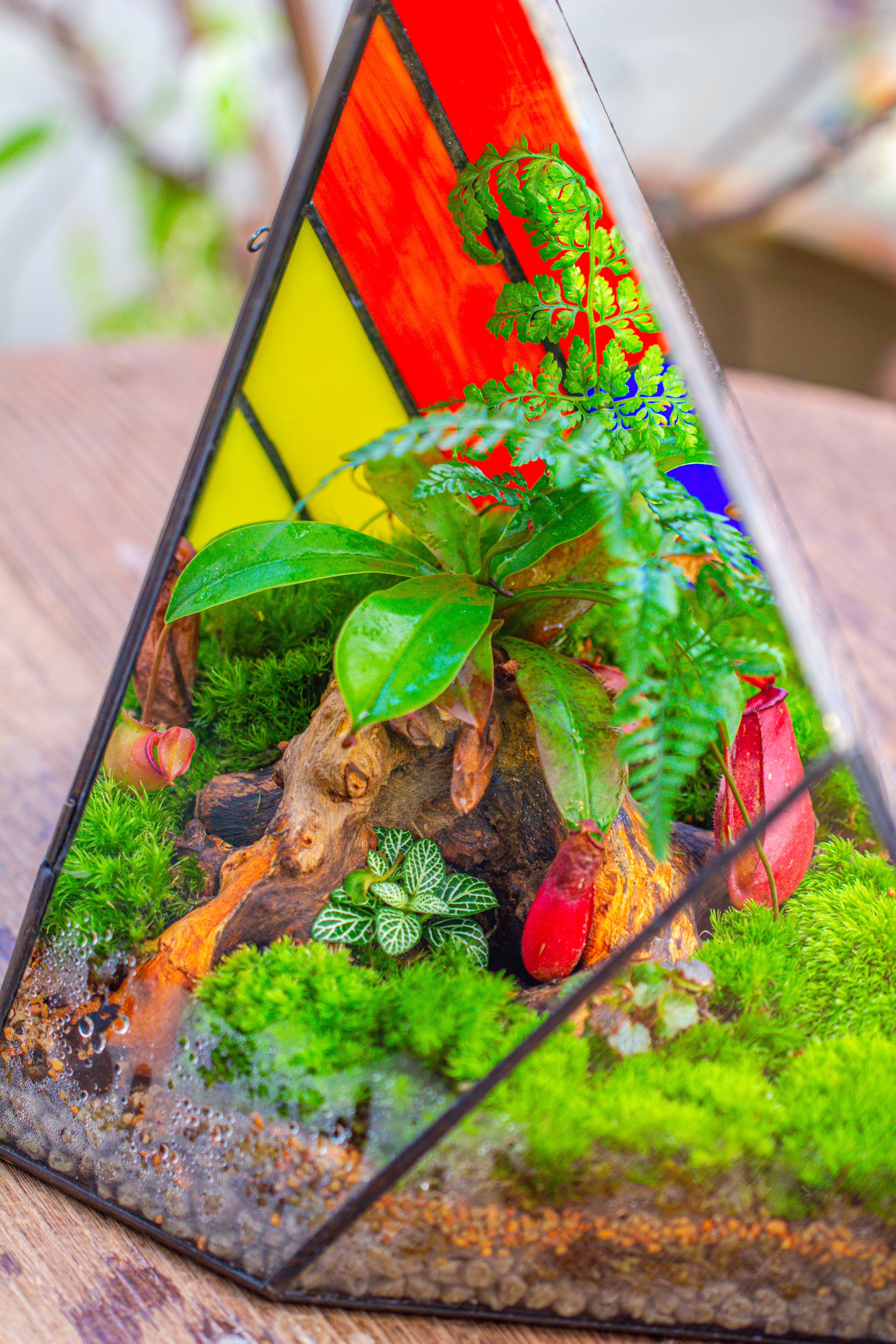 Rainbow Stained Glass Irregular Geometric Ice Peak  Shape Terrarium, Close - NCYPgarden