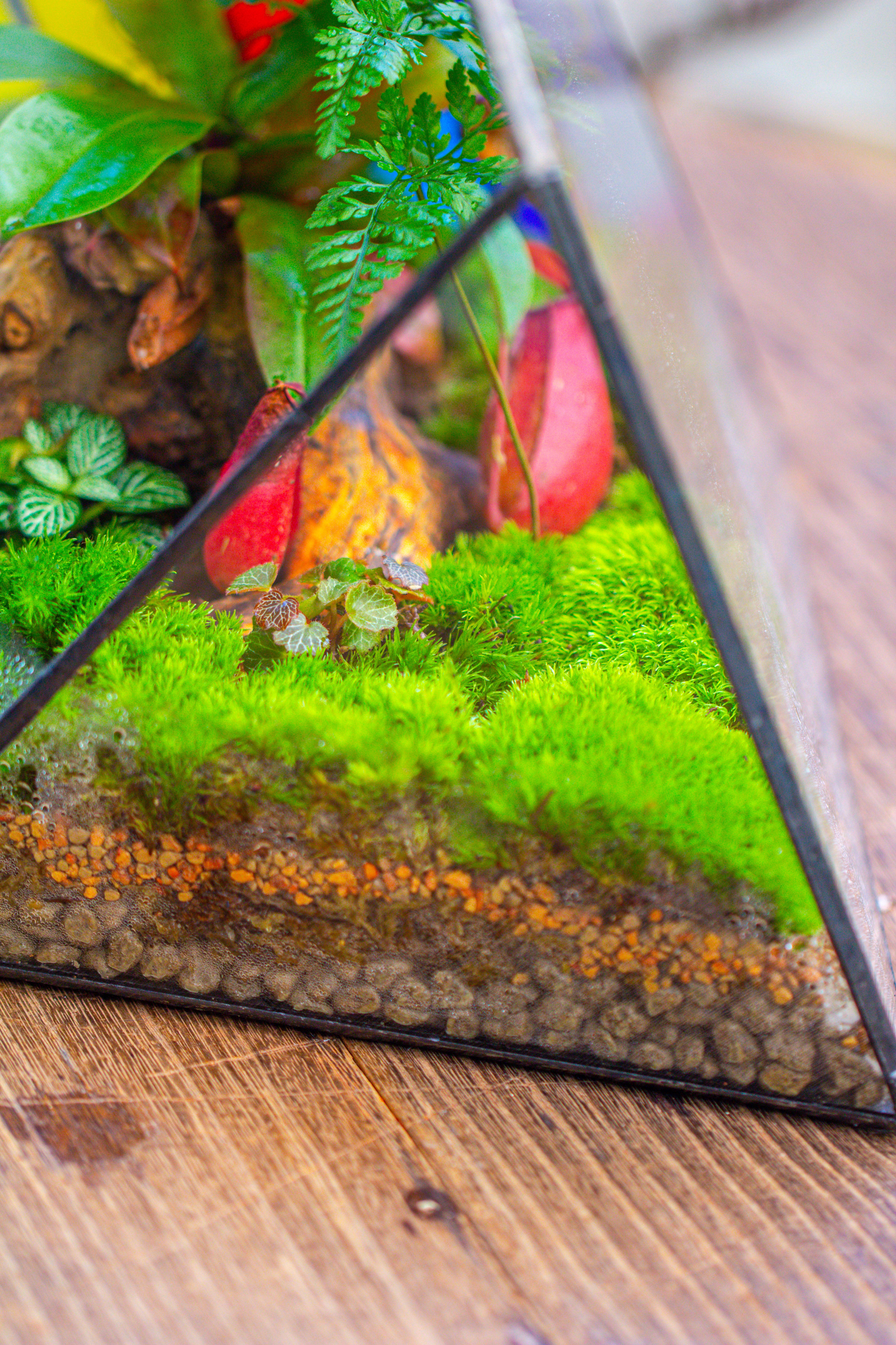 Rainbow Stained Glass Irregular Geometric Ice Peak  Shape Terrarium, Close - NCYPgarden