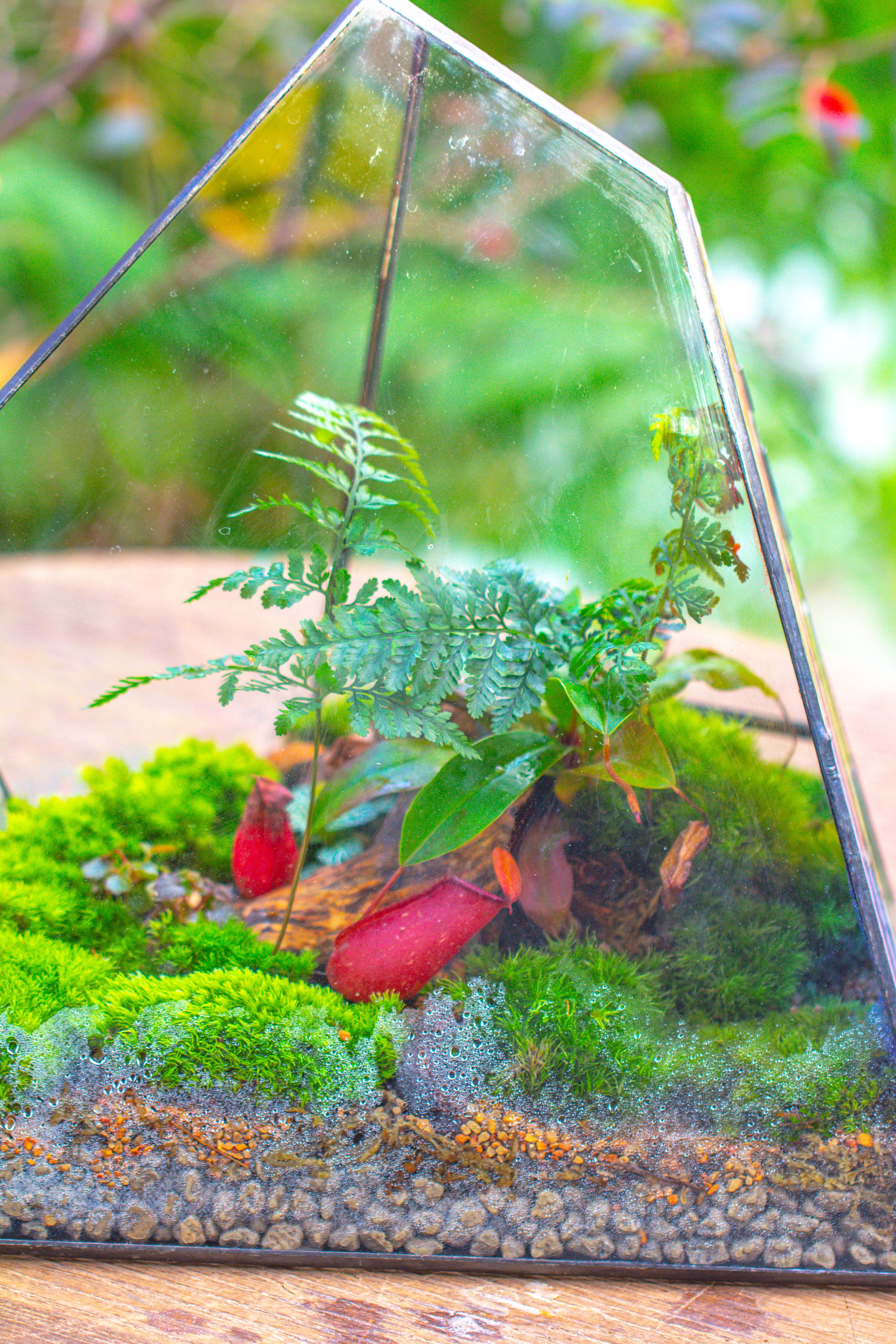 Rainbow Stained Glass Irregular Geometric Ice Peak  Shape Terrarium, Close - NCYPgarden