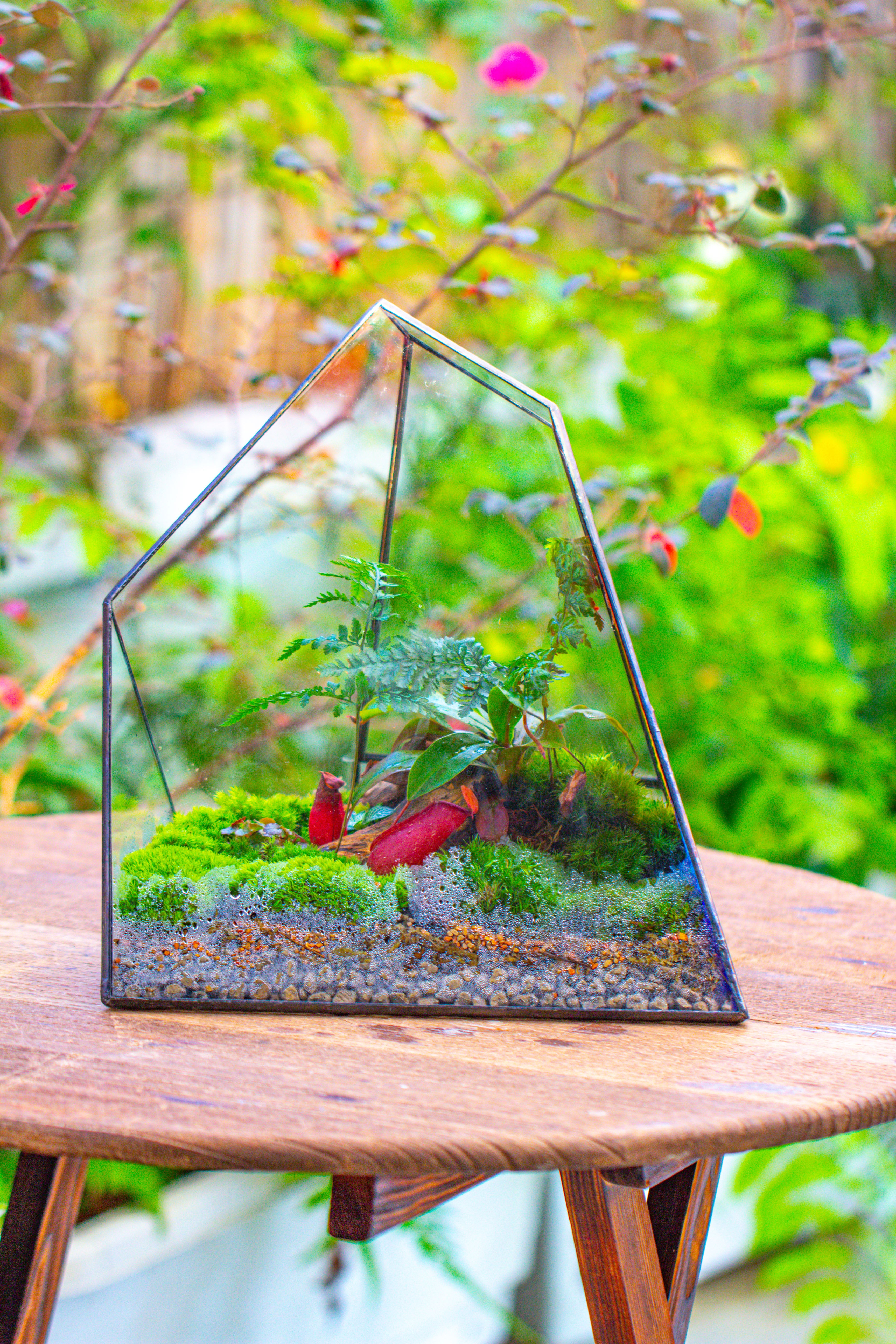 Rainbow Stained Glass Irregular Geometric Ice Peak  Shape Terrarium, Close - NCYPgarden