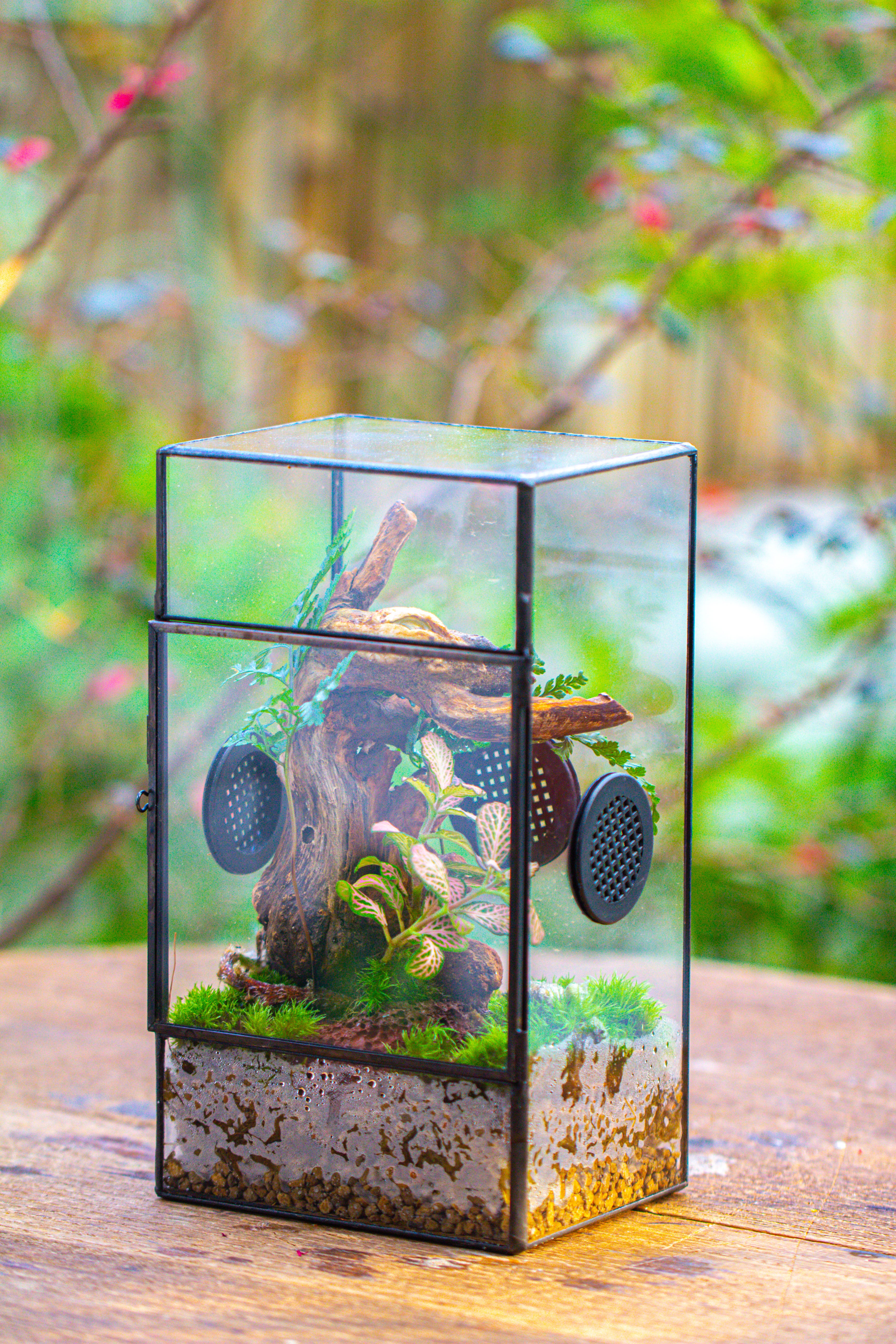 Glass Geometric Terrarium with Door Enclosure, Black Plastic Mesh Vent for Insects, Snail, Jumping Spider, Plants Not Included - NCYPgarden