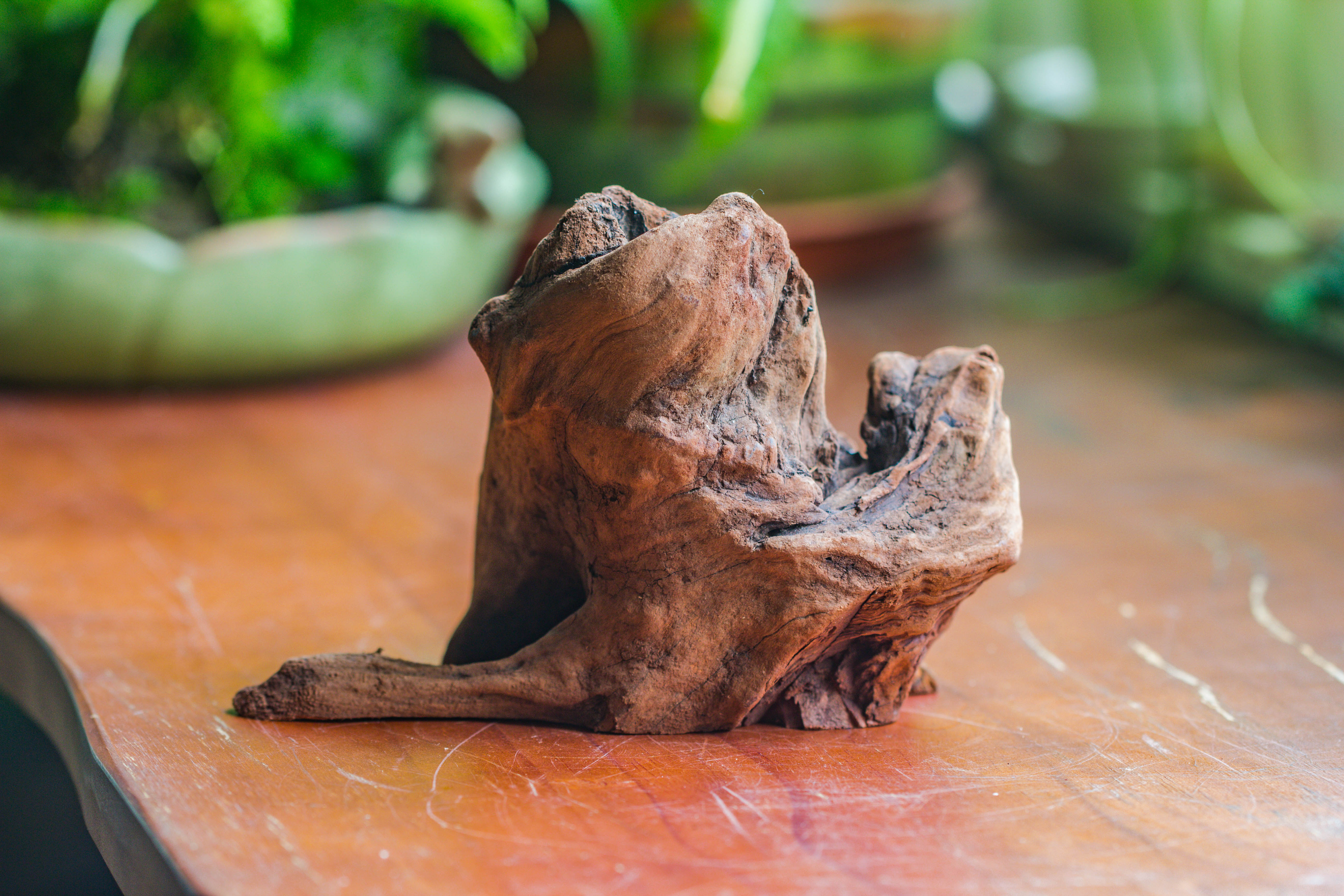 Natural driftwood for moss terrarium, miniature, micro landscape, unique  10-11, suitable for both live and preserved moss - NCYPgarden