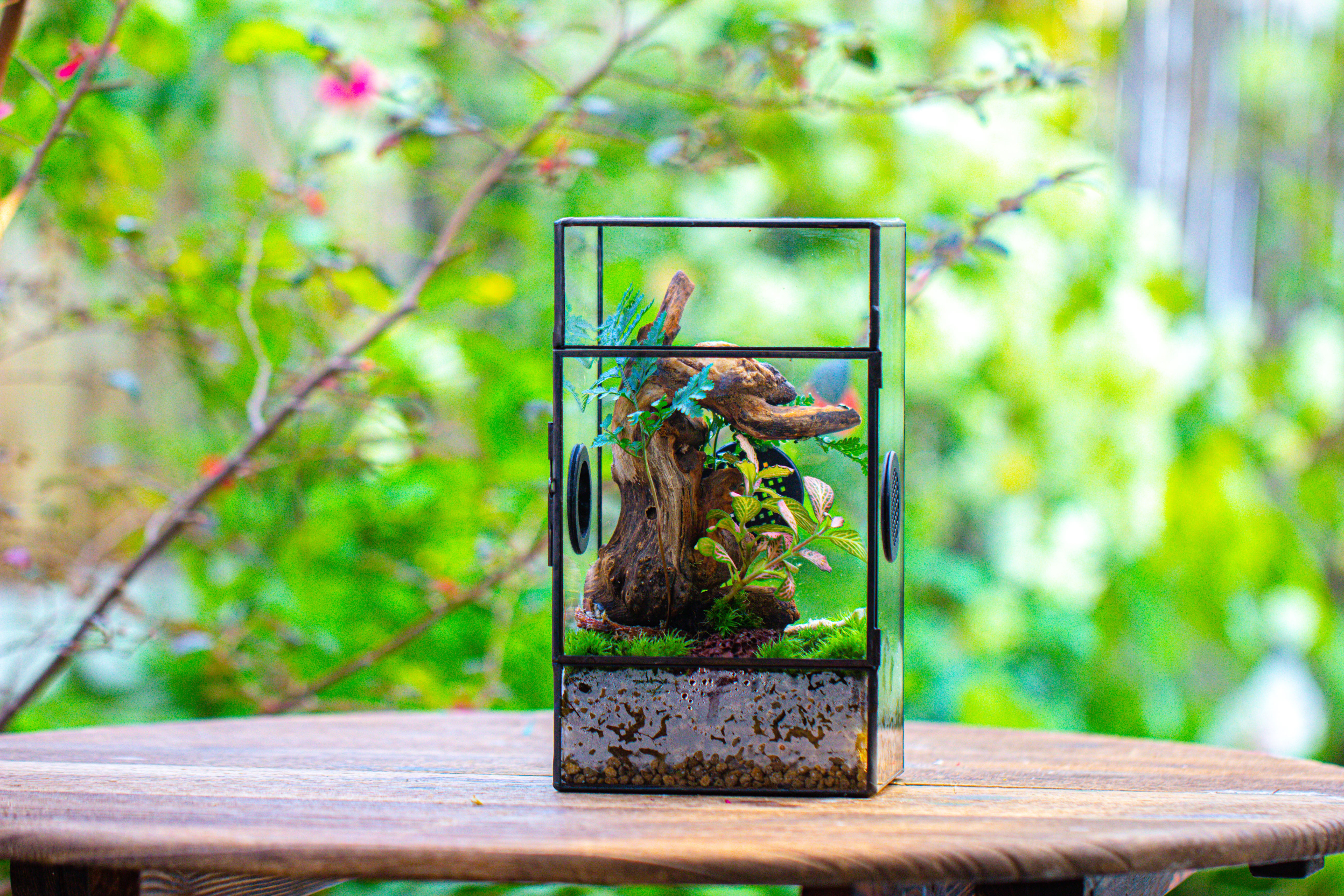 Glass Geometric Terrarium with Door Enclosure, Black Plastic Mesh Vent for Insects, Snail, Jumping Spider, Plants Not Included - NCYPgarden