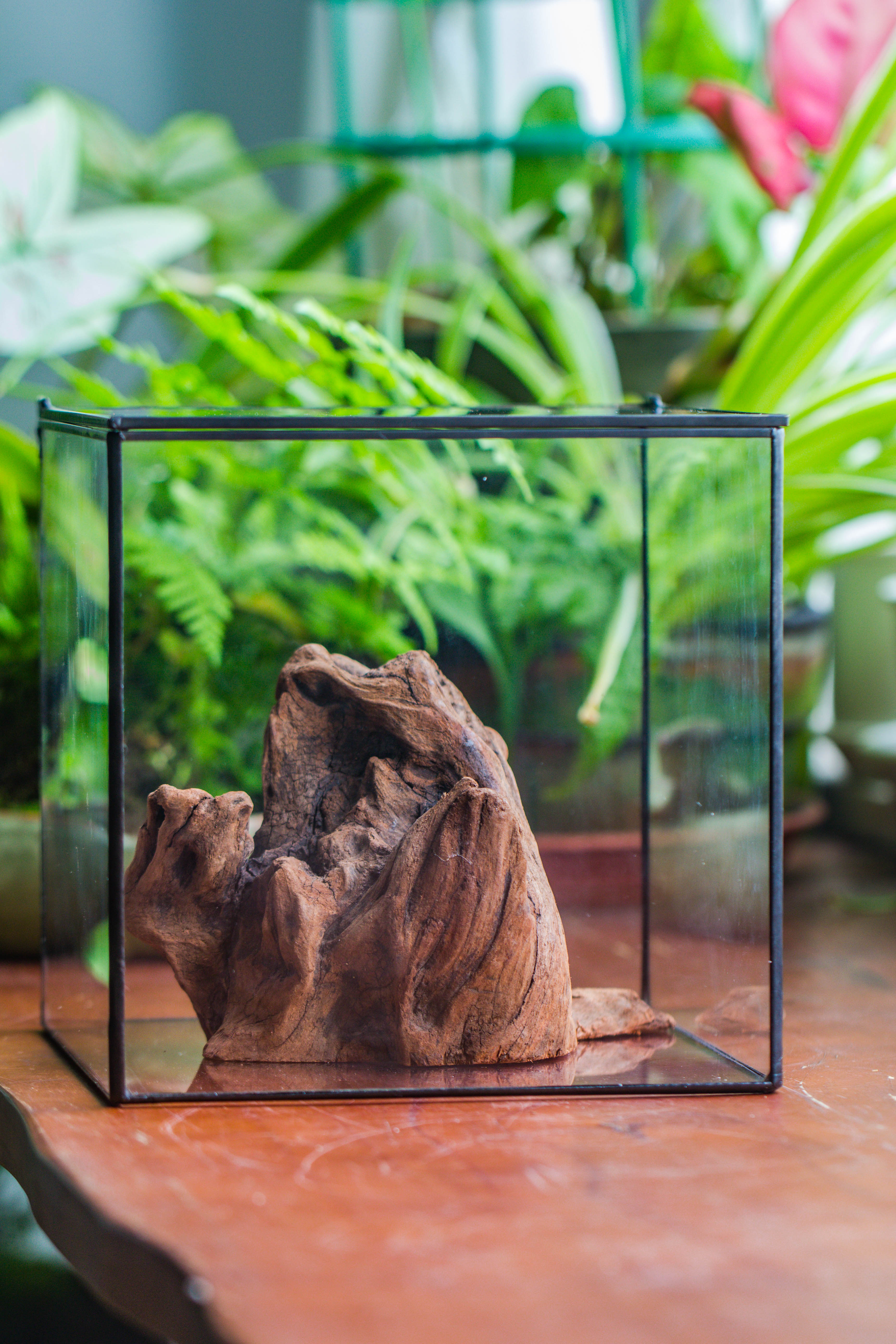 Natural driftwood for moss terrarium, miniature, micro landscape, unique  10-11, suitable for both live and preserved moss - NCYPgarden