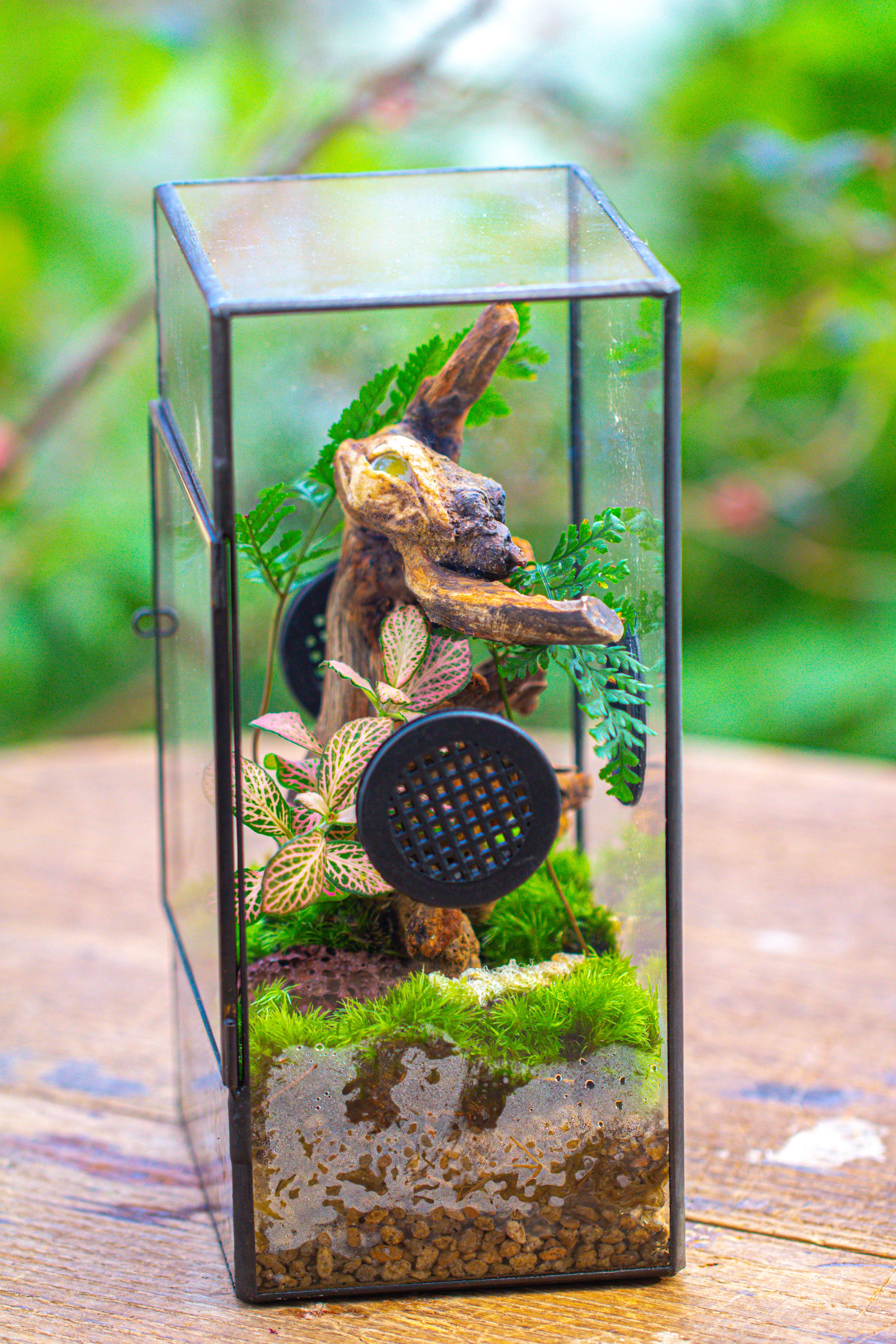 Glass Geometric Terrarium with Door Enclosure, Black Plastic Mesh Vent for Insects, Snail, Jumping Spider, Plants Not Included - NCYPgarden