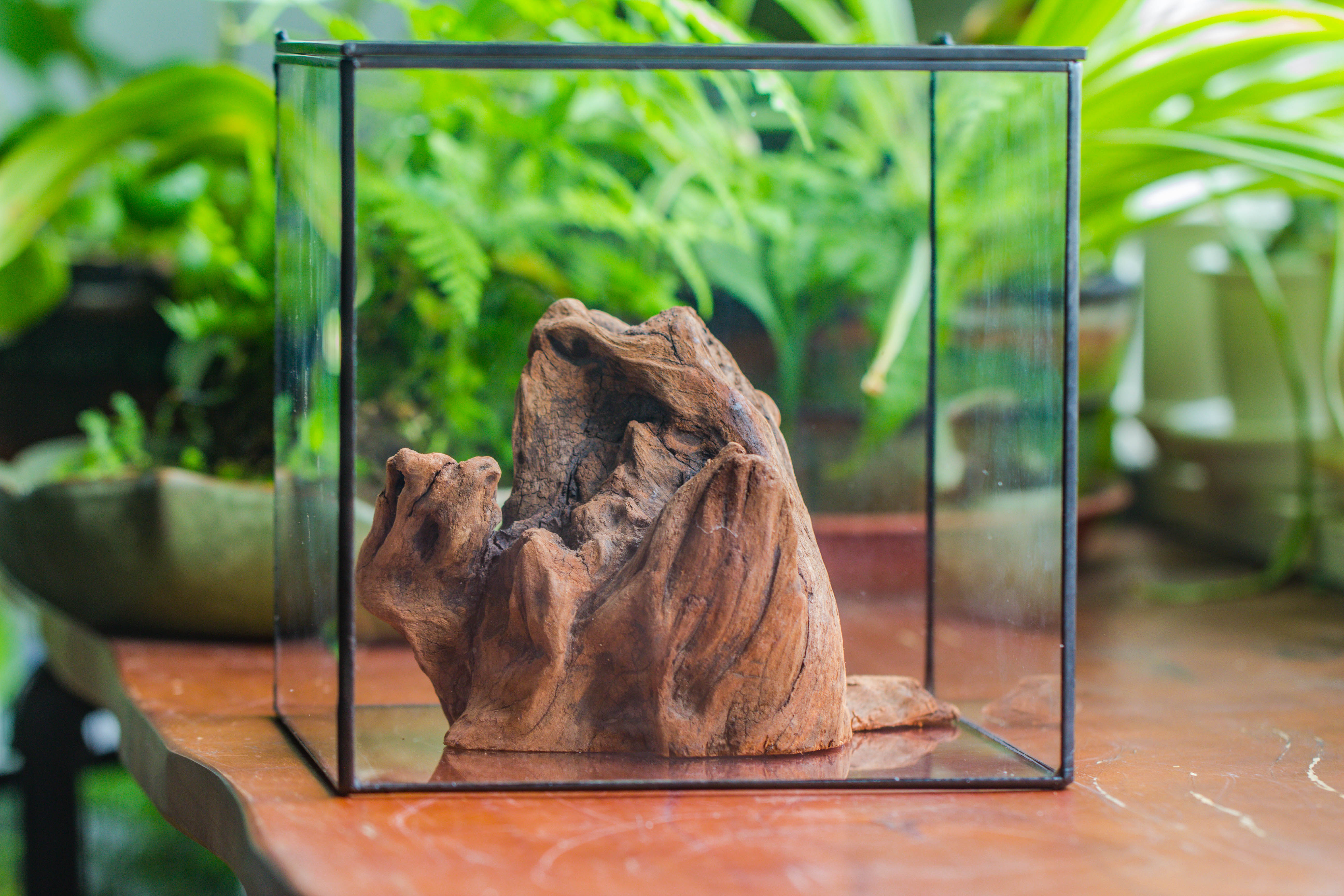 Natural driftwood for moss terrarium, miniature, micro landscape, unique  10-11, suitable for both live and preserved moss - NCYPgarden