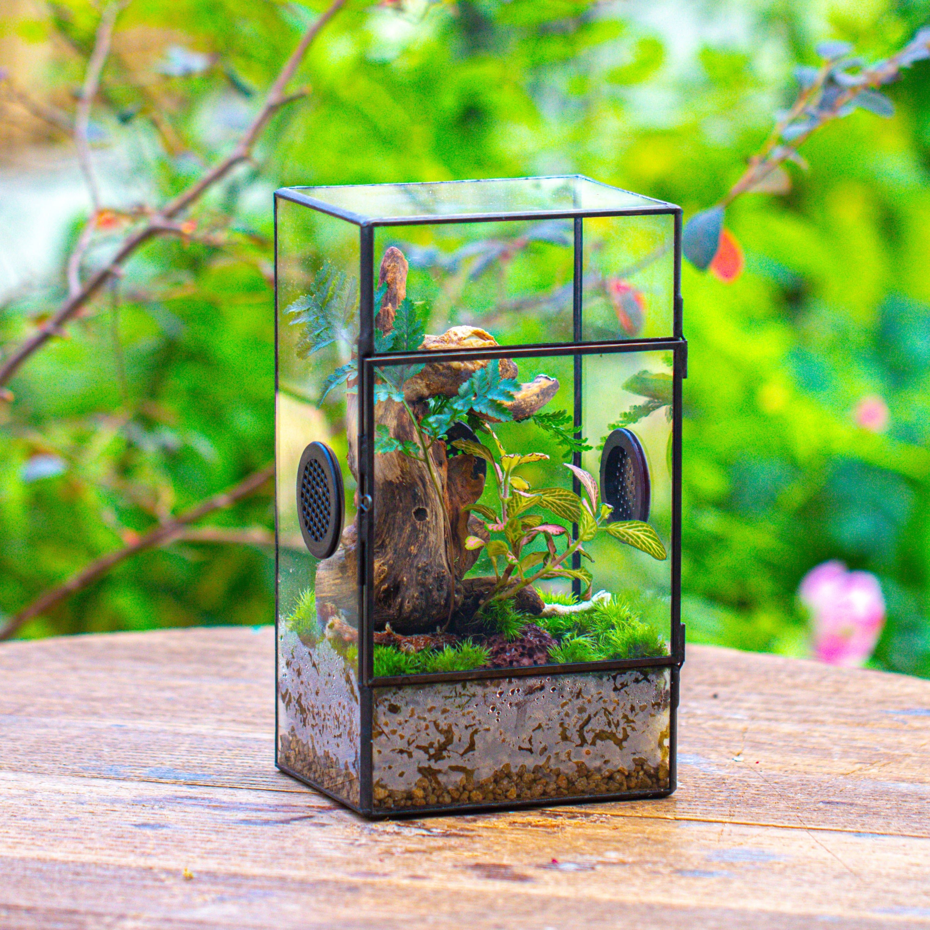 Glass Geometric Terrarium with Door Enclosure, Black Plastic Mesh Vent for Insects, Snail, Jumping Spider, Plants Not Included - NCYPgarden
