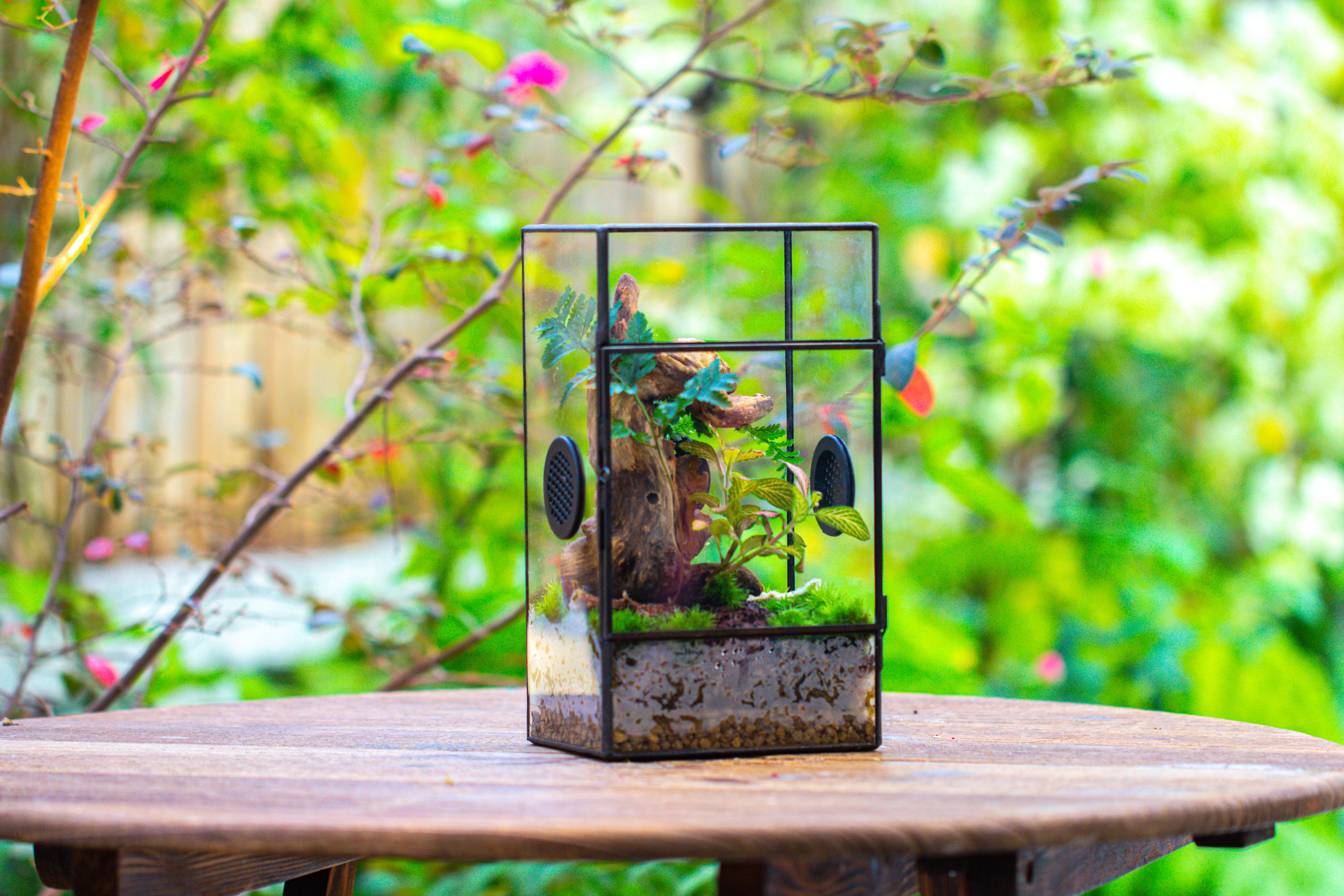 Glass Geometric Terrarium with Door Enclosure, Black Plastic Mesh Vent for Insects, Snail, Jumping Spider, Plants Not Included - NCYPgarden