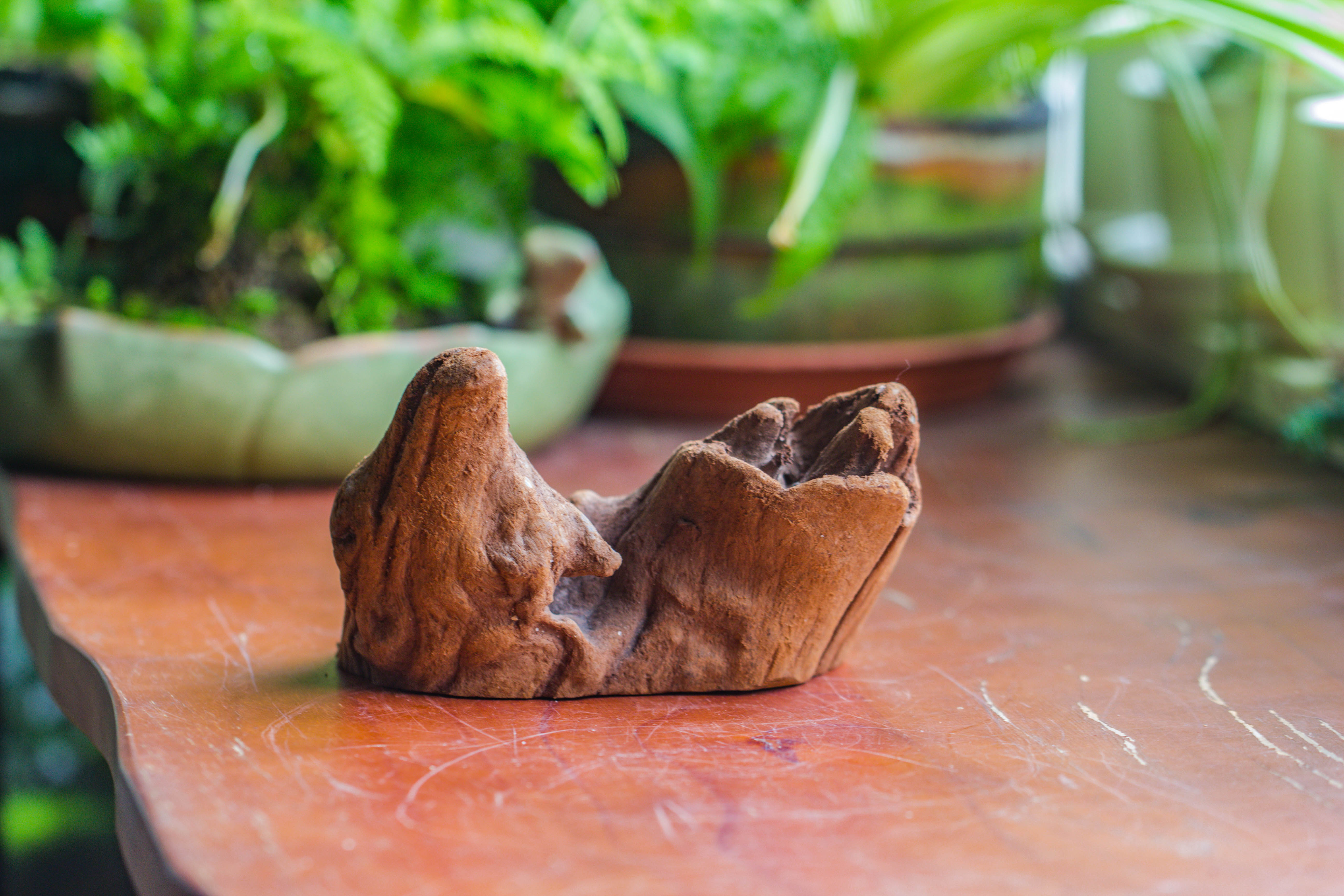 Natural driftwood for moss terrarium, miniature, micro landscape, unique  10-38, suitable for both live and preserved moss - NCYPgarden