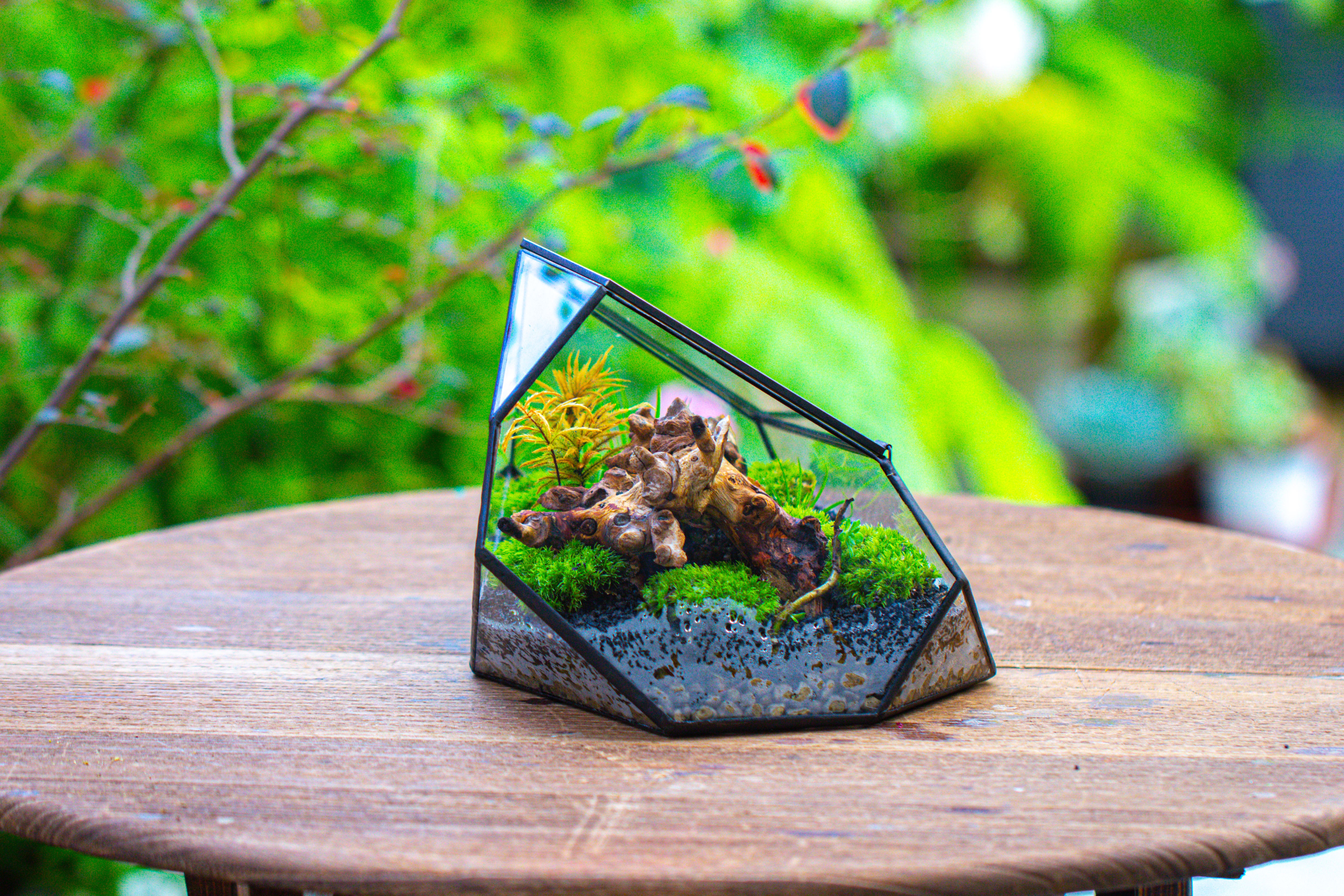 Irregular geometric rock shape glass and tin terrarium, for moss - NCYPgarden
