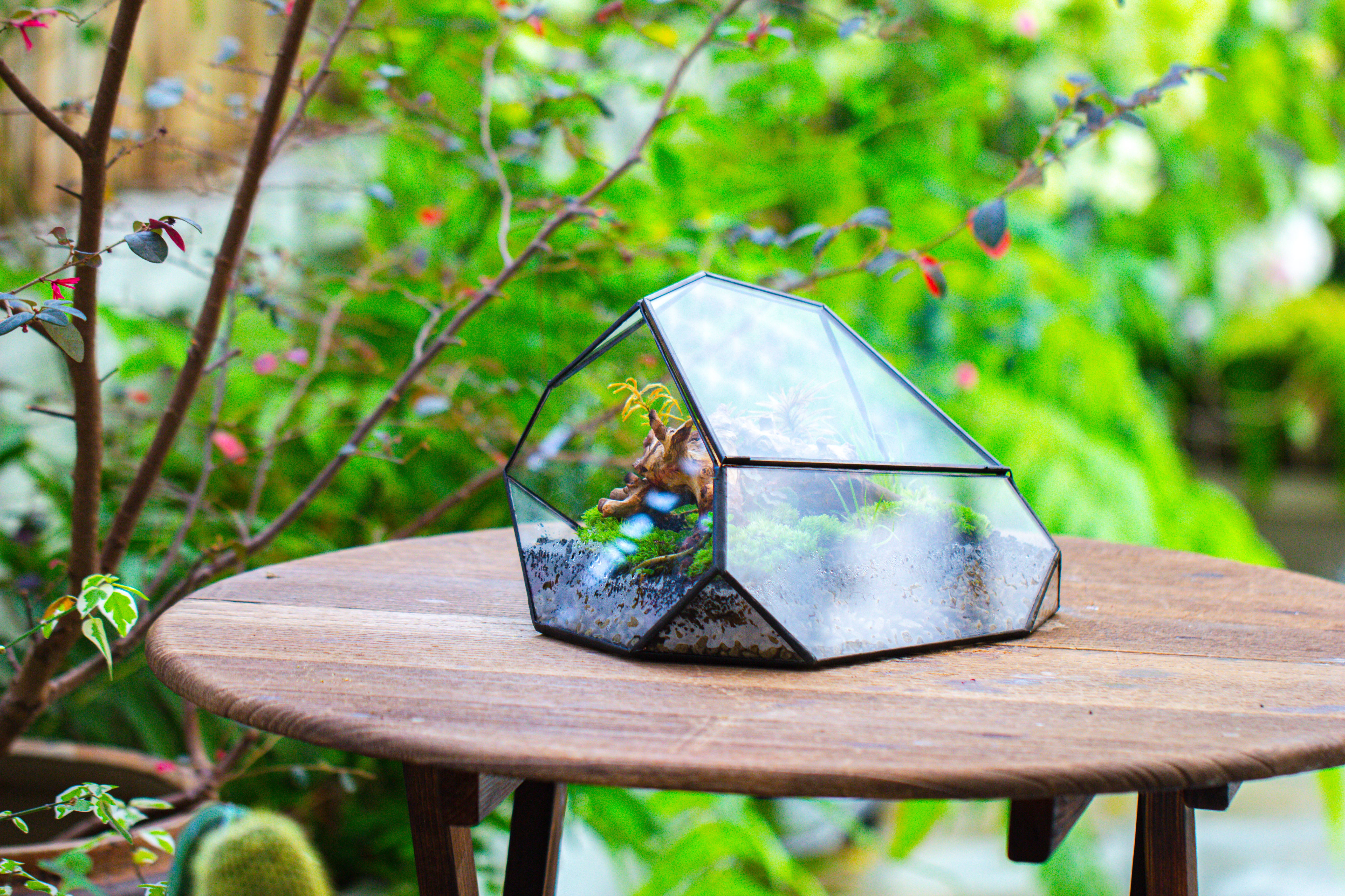 Irregular geometric rock shape glass and tin terrarium, for moss - NCYPgarden
