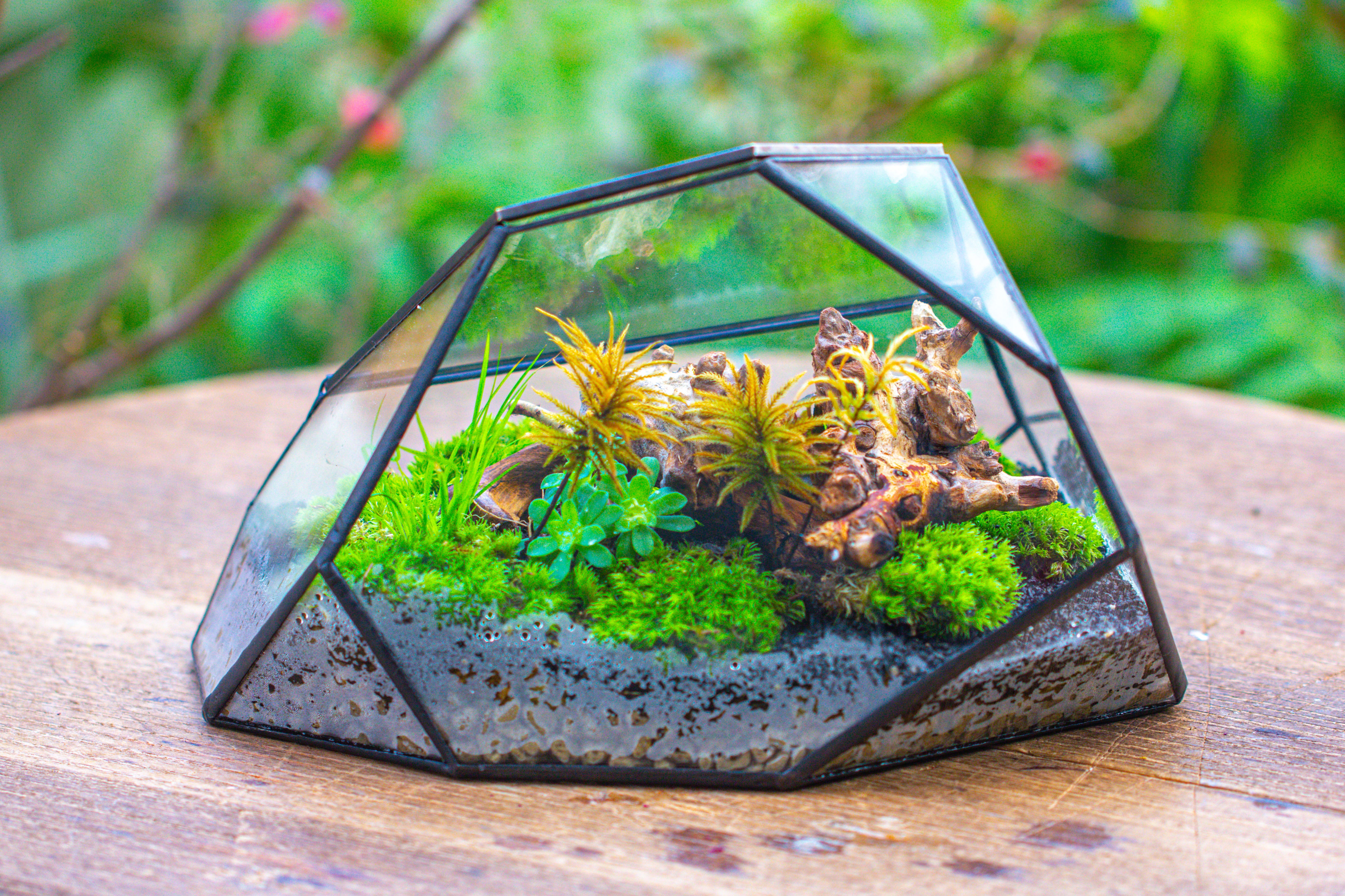 Irregular geometric rock shape glass and tin terrarium, for moss - NCYPgarden