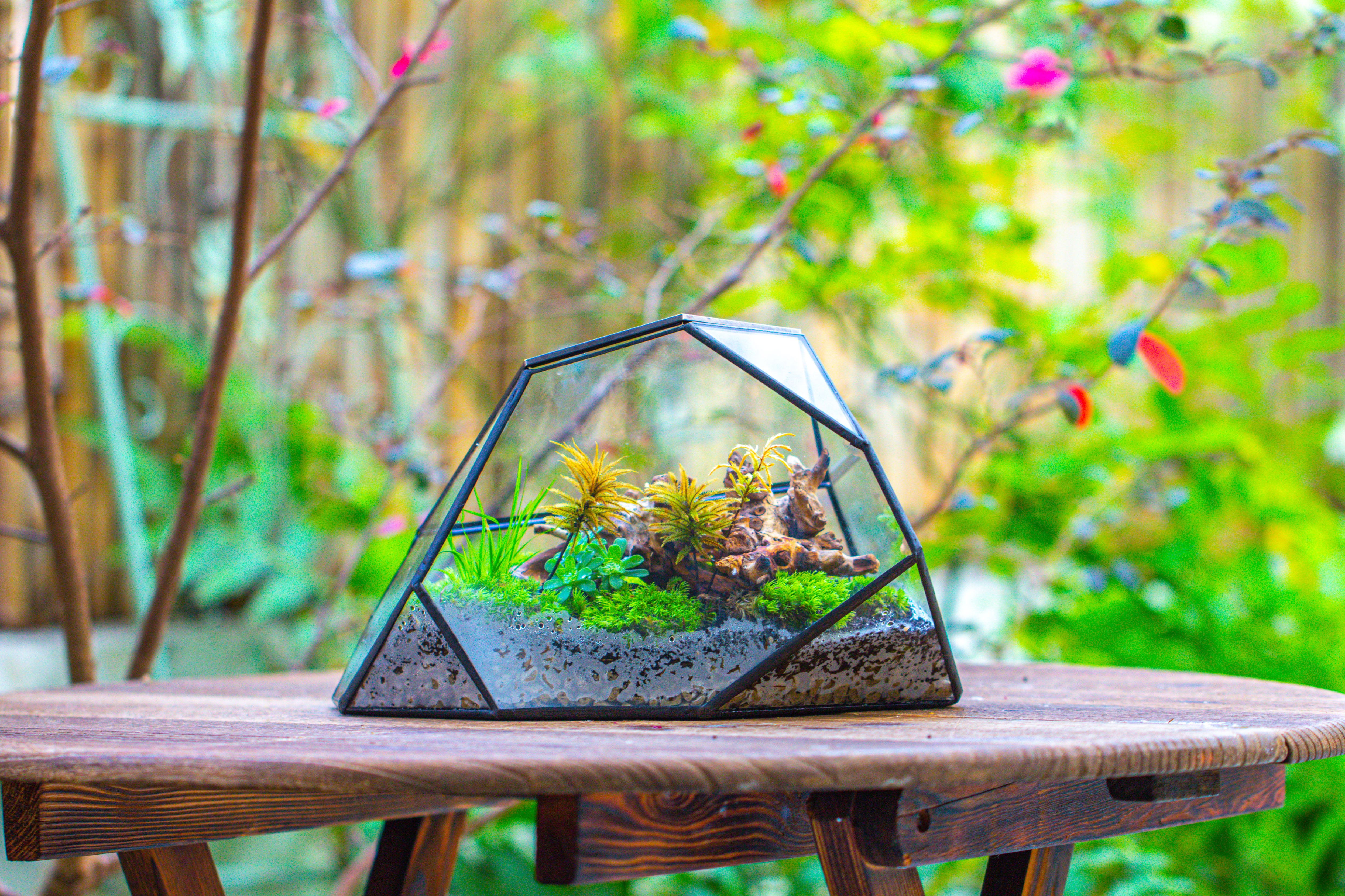 Irregular geometric rock shape glass and tin terrarium, for moss - NCYPgarden