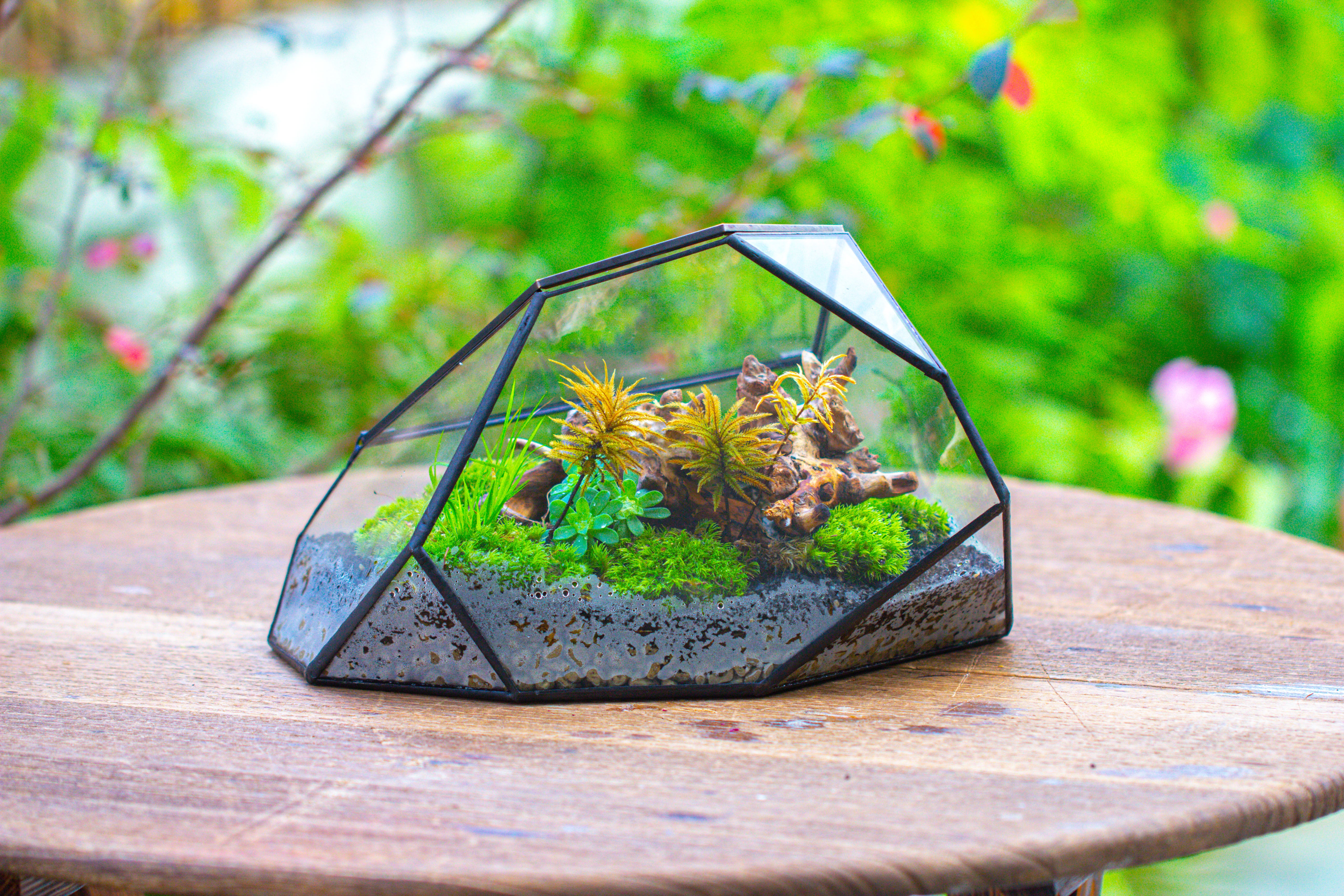 Irregular geometric rock shape glass and tin terrarium, for moss - NCYPgarden