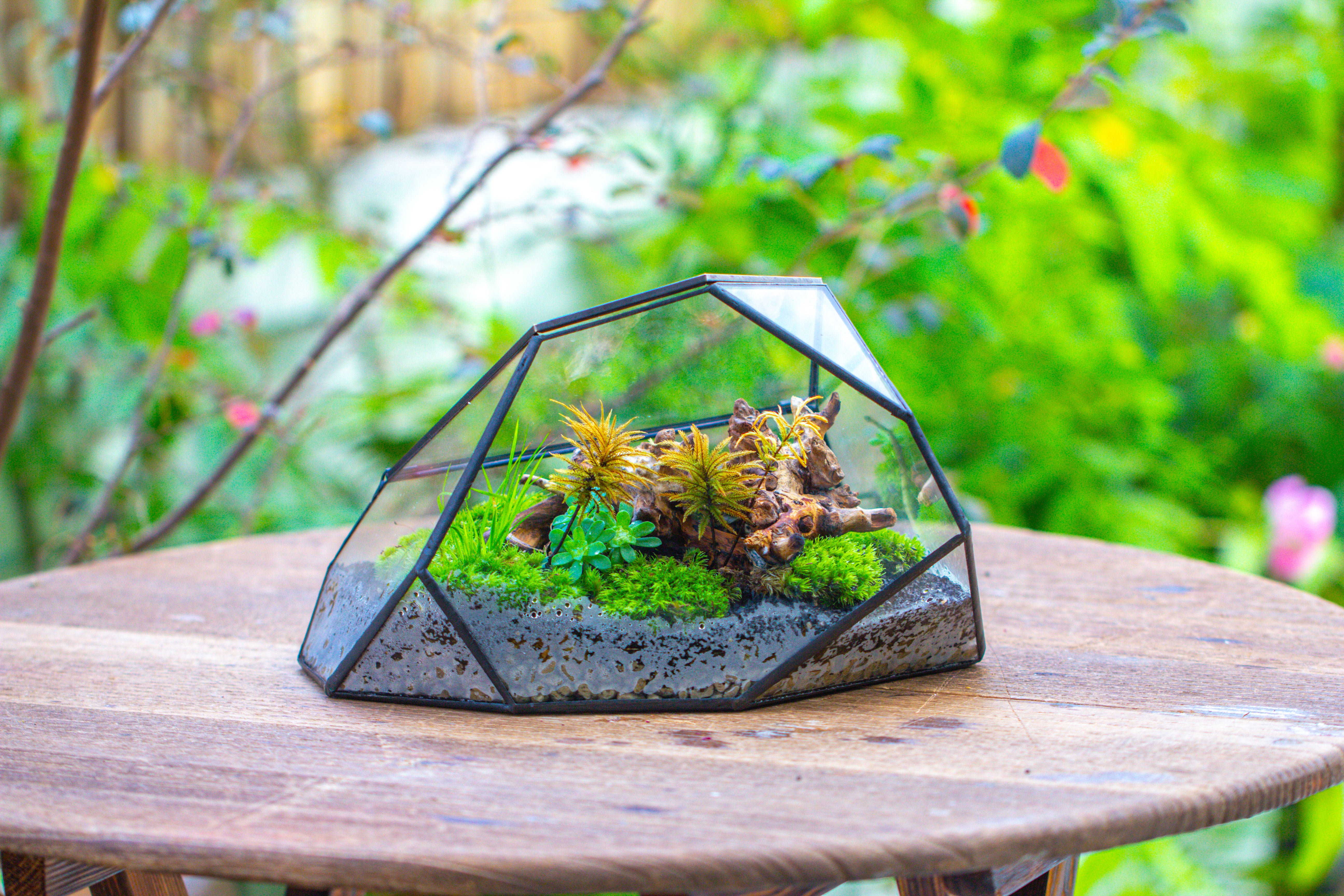 Irregular geometric rock shape glass and tin terrarium, for moss - NCYPgarden