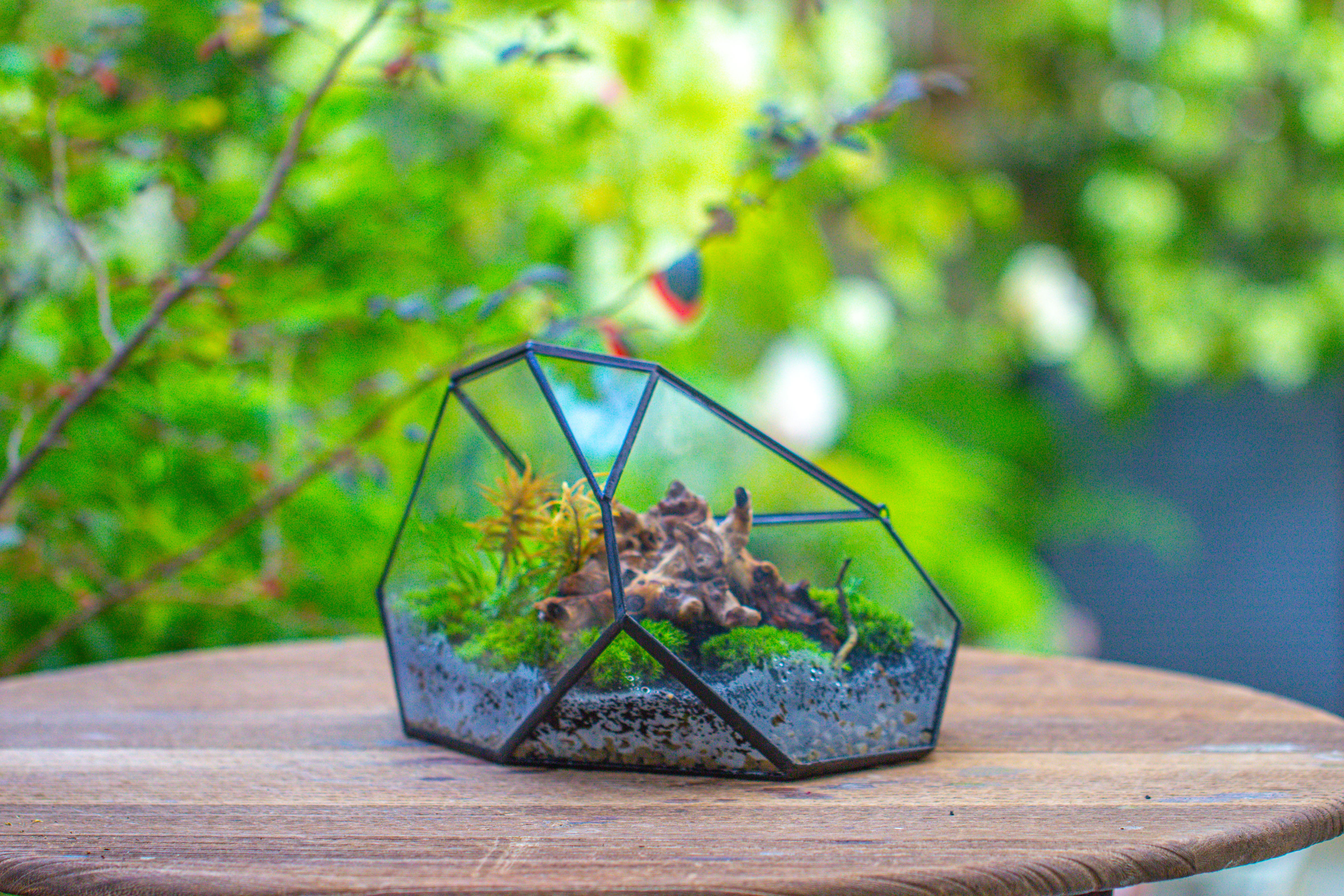 Irregular geometric rock shape glass and tin terrarium, for moss - NCYPgarden