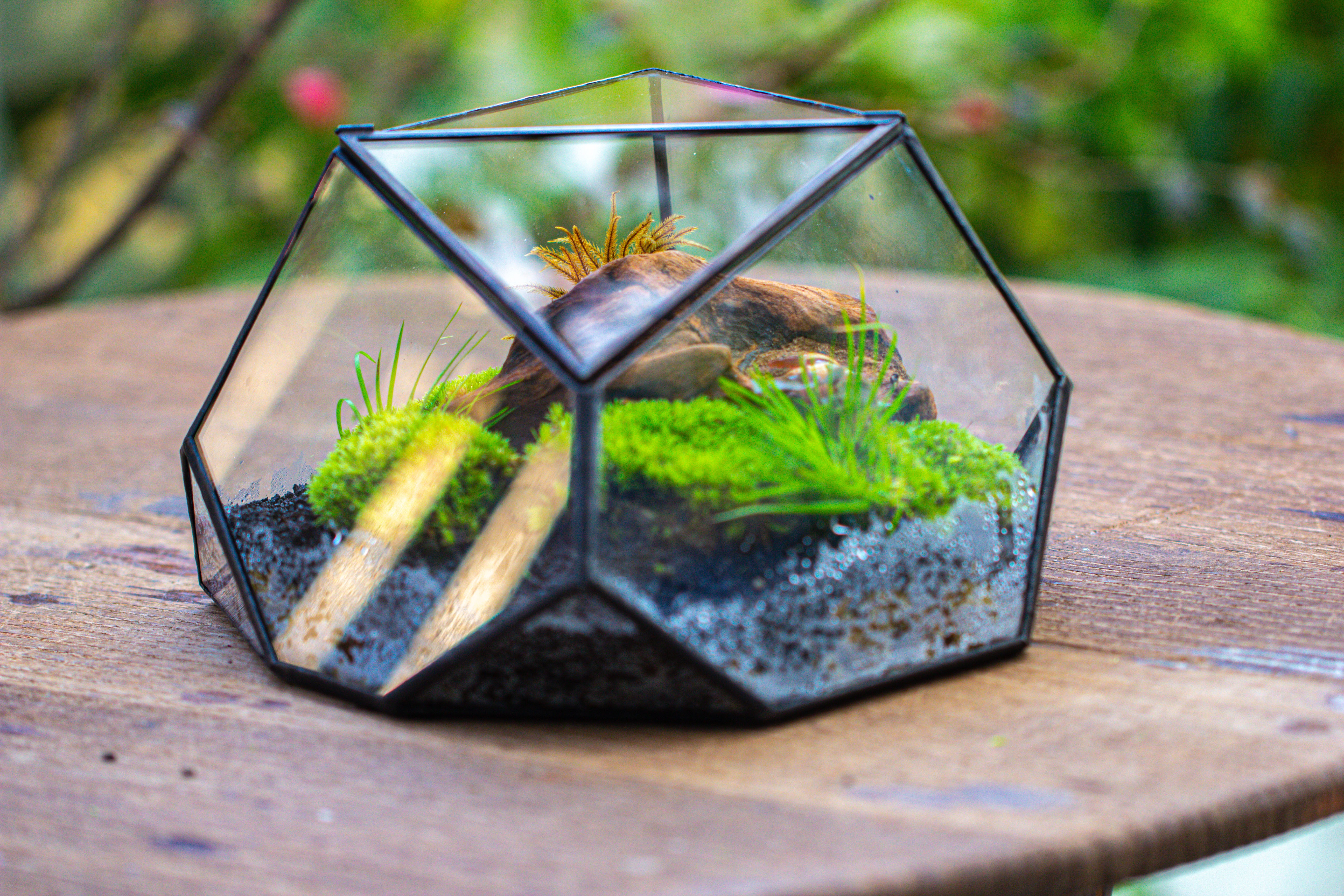 Geometric Terrarium Irregular, handmade,Tin and Glass - NCYPgarden