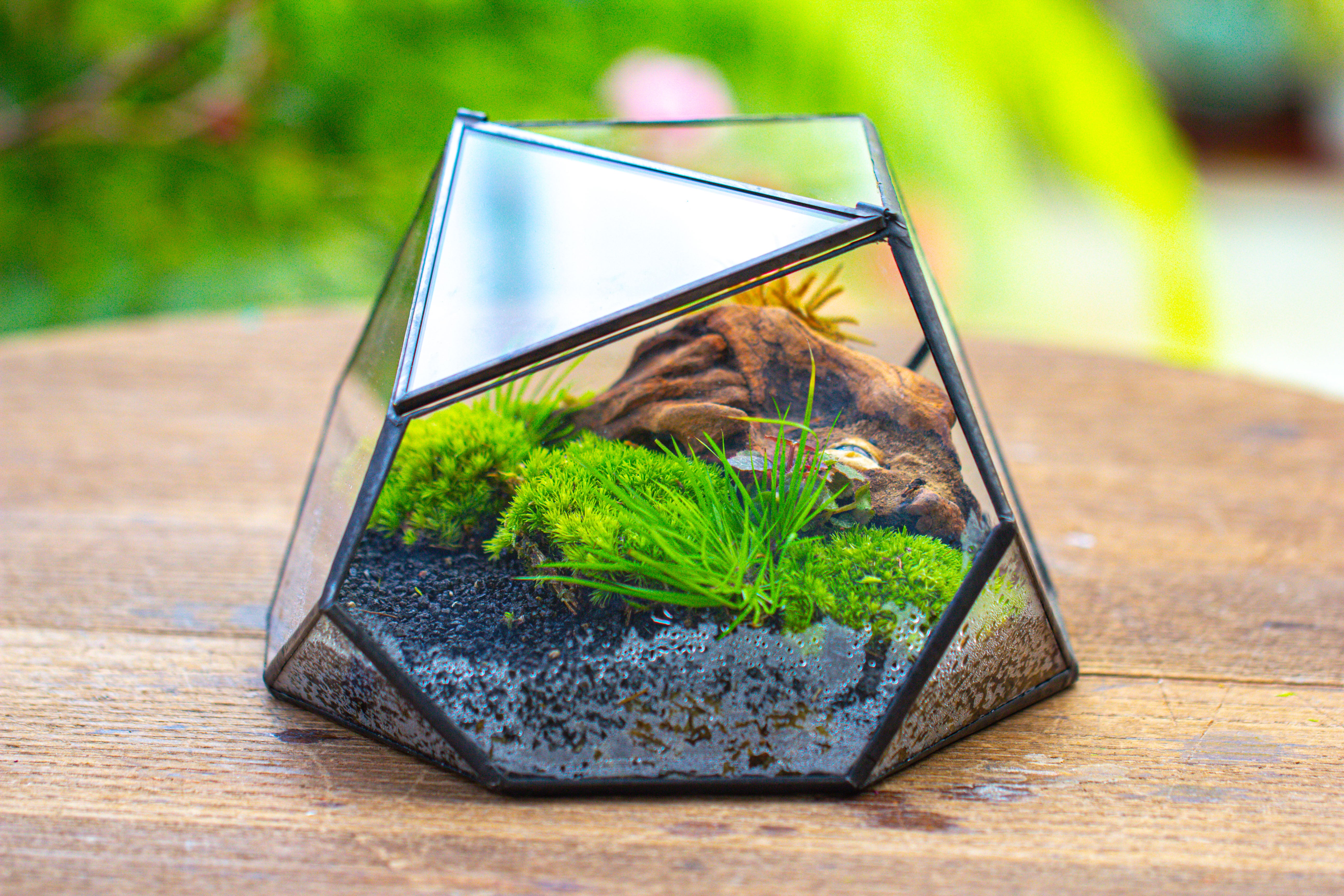 Geometric Terrarium Irregular, handmade,Tin and Glass - NCYPgarden