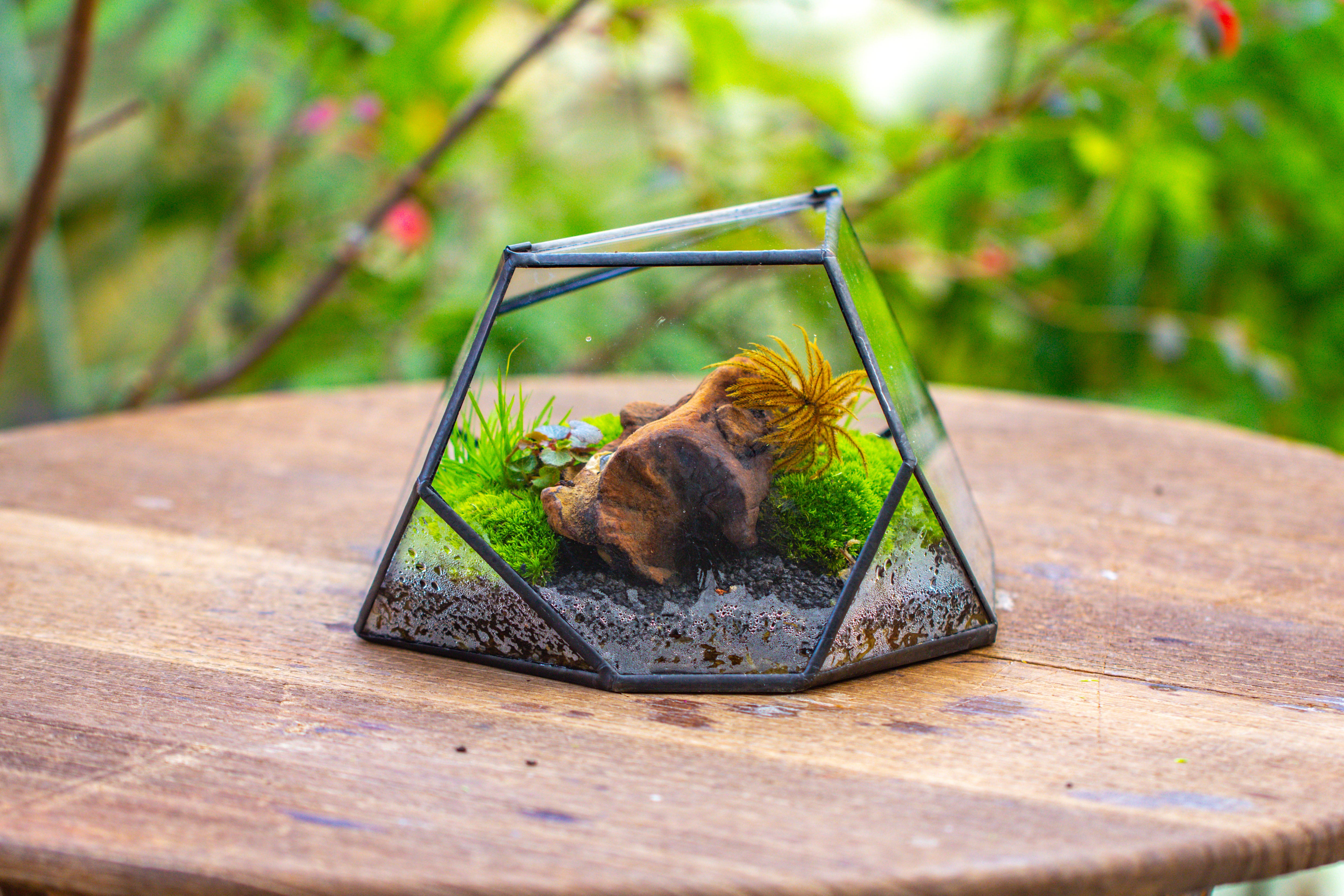 Geometric Terrarium Irregular, handmade,Tin and Glass - NCYPgarden