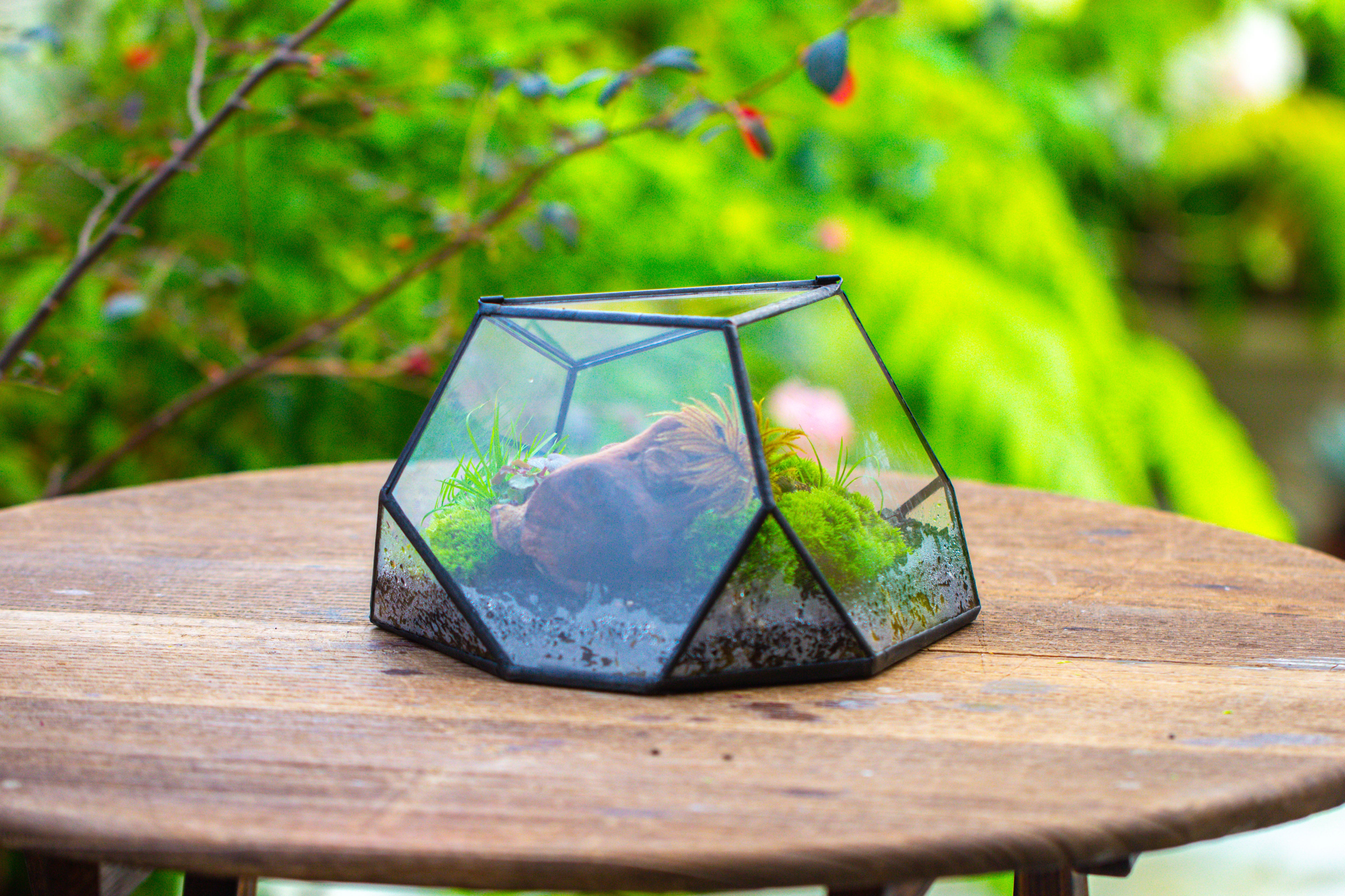 Geometric Terrarium Irregular, handmade,Tin and Glass - NCYPgarden