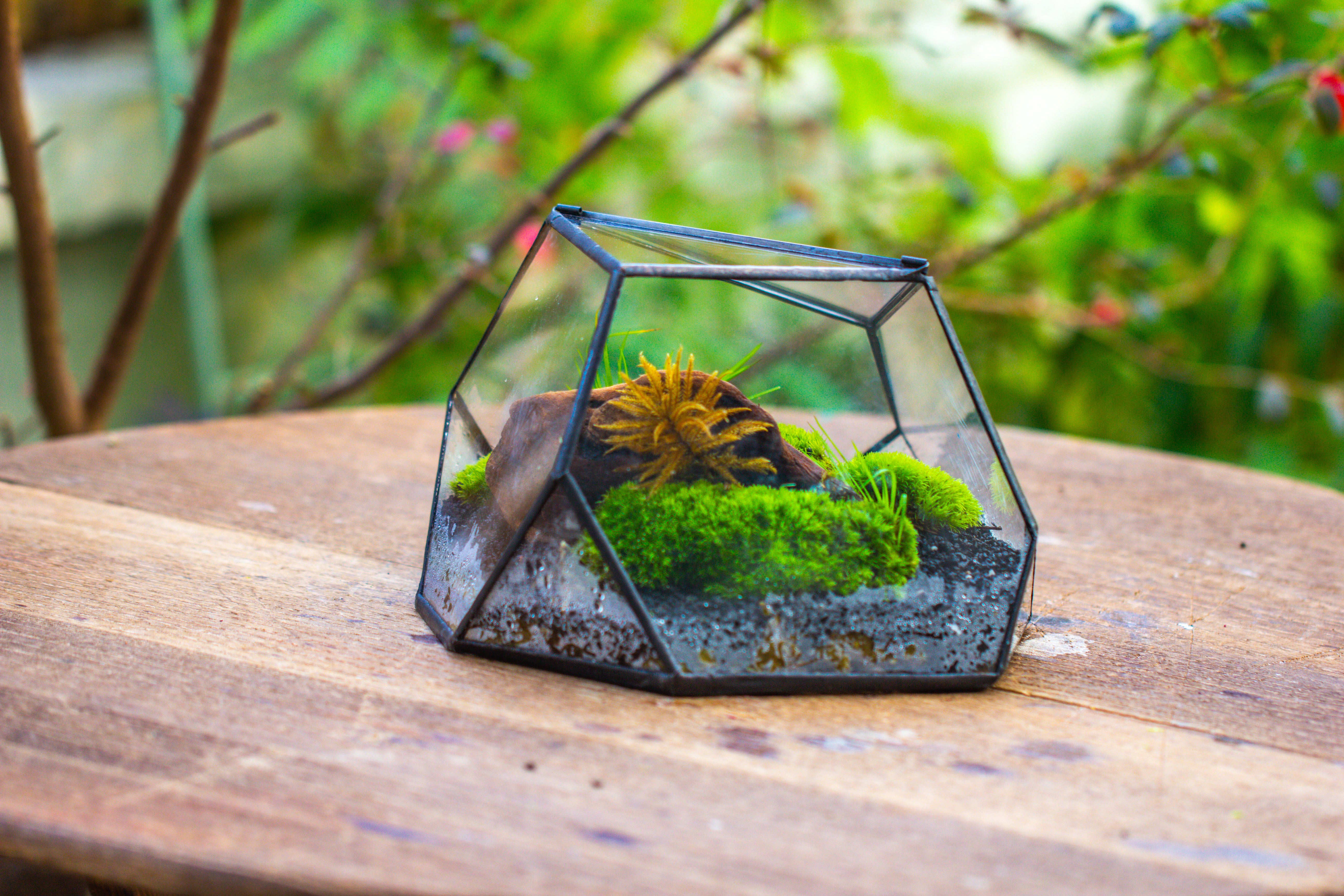 Geometric Terrarium Irregular, handmade,Tin and Glass - NCYPgarden