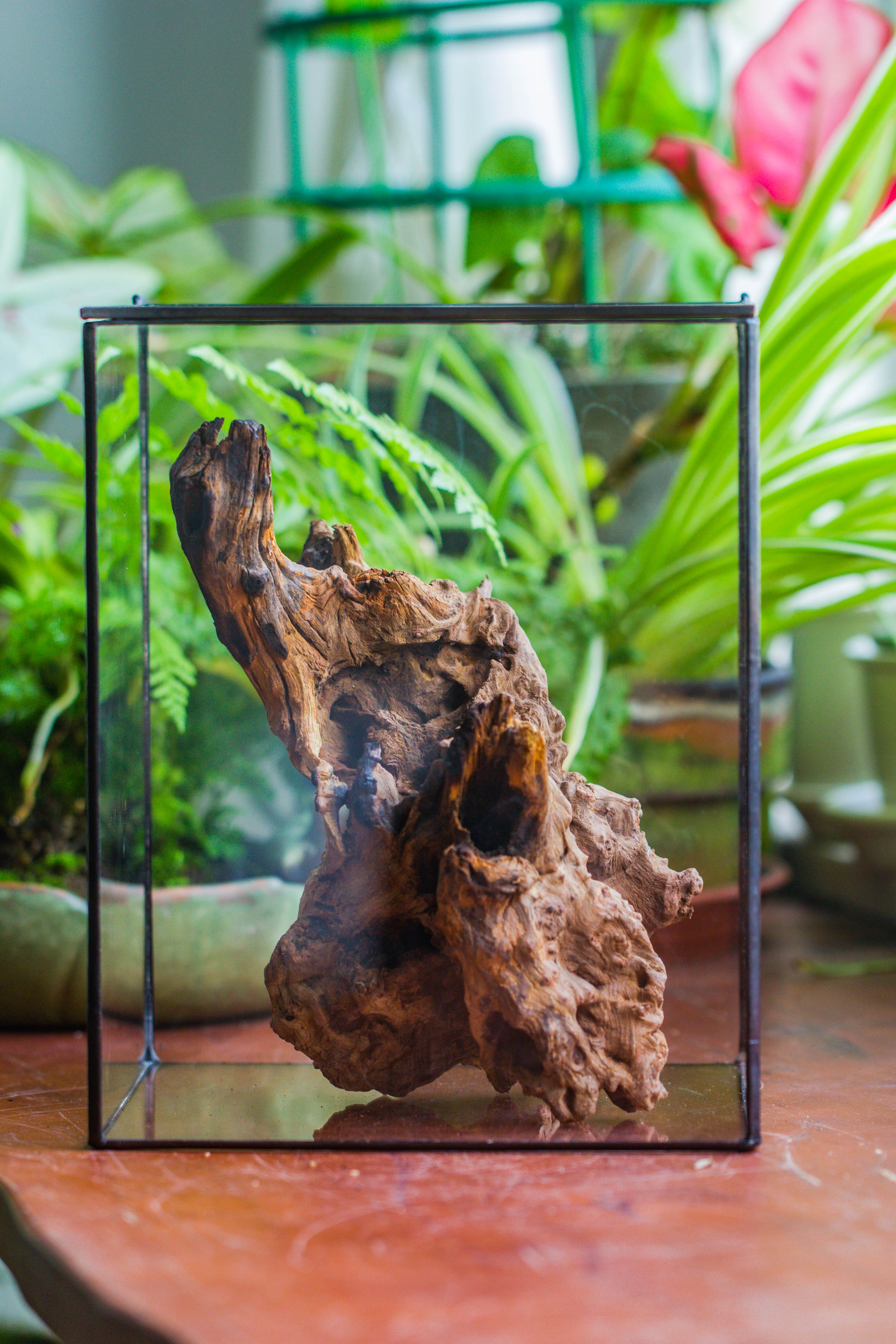 Natural driftwood for moss terrarium, miniature, micro landscape, unique  10-7, suitable for both live and preserved moss - NCYPgarden